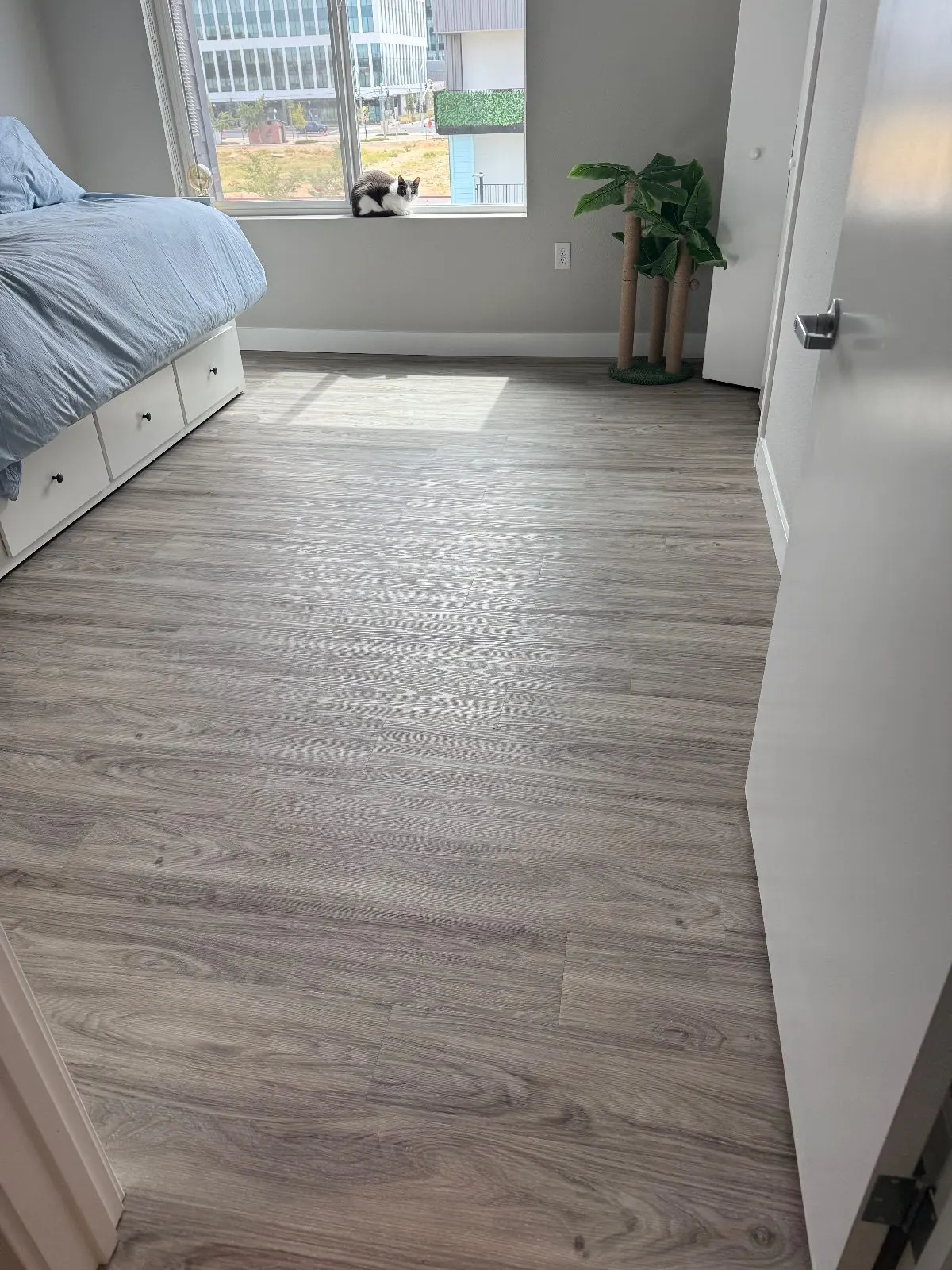 After — House Cleaning in Sacramento, CA — August 2026