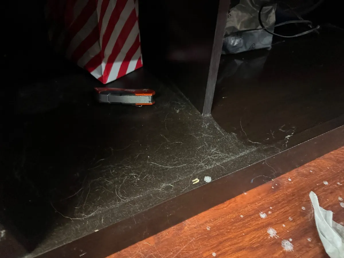 Before — House Cleaning in El Dorado Hills, CA — August 2026