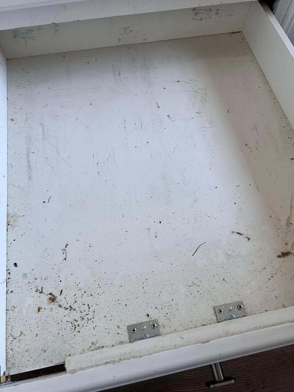 Before — House Cleaning in Carmichael, CA — August 2026