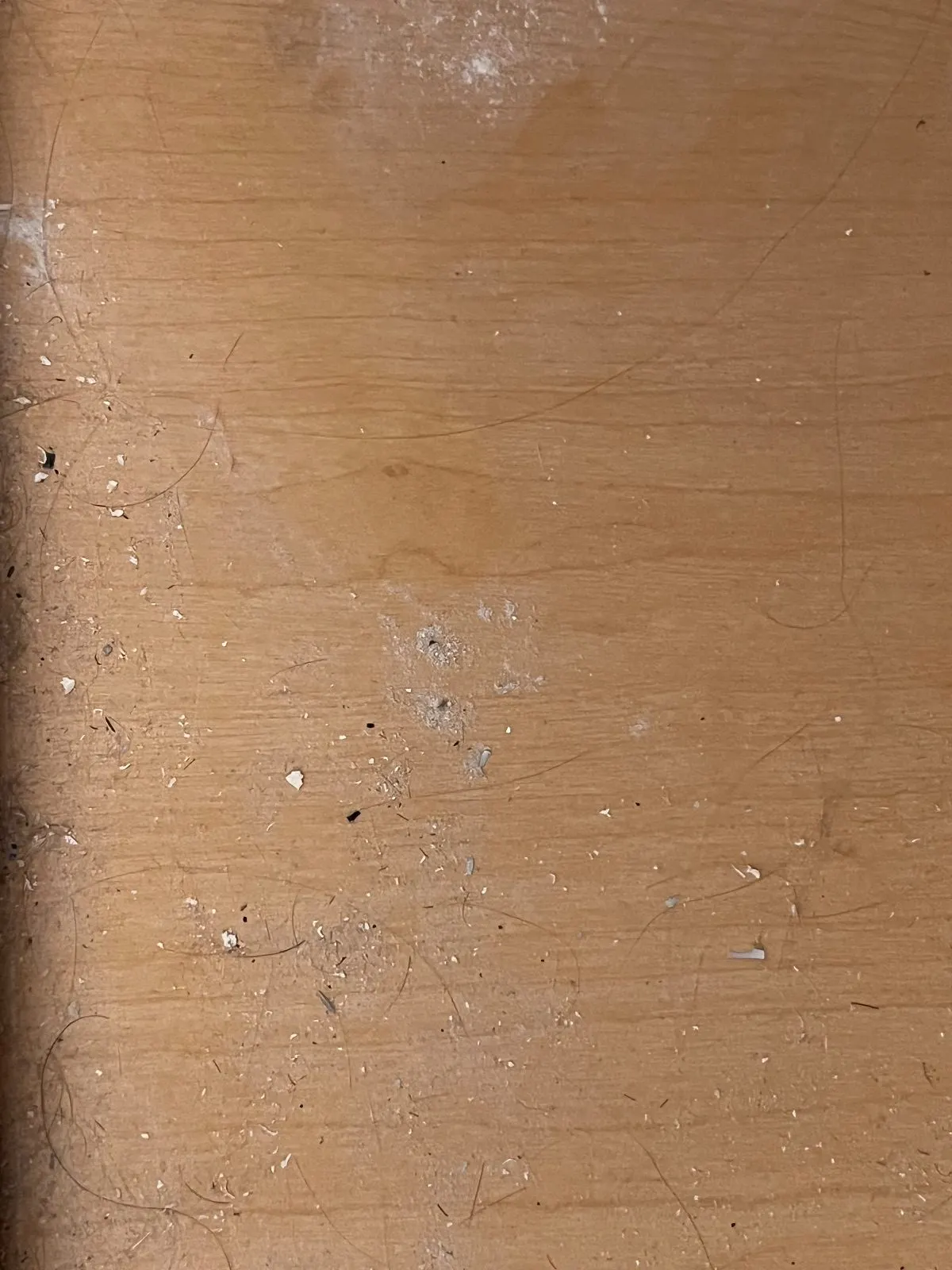 Before — House Cleaning in Carmichael, CA — August 2026