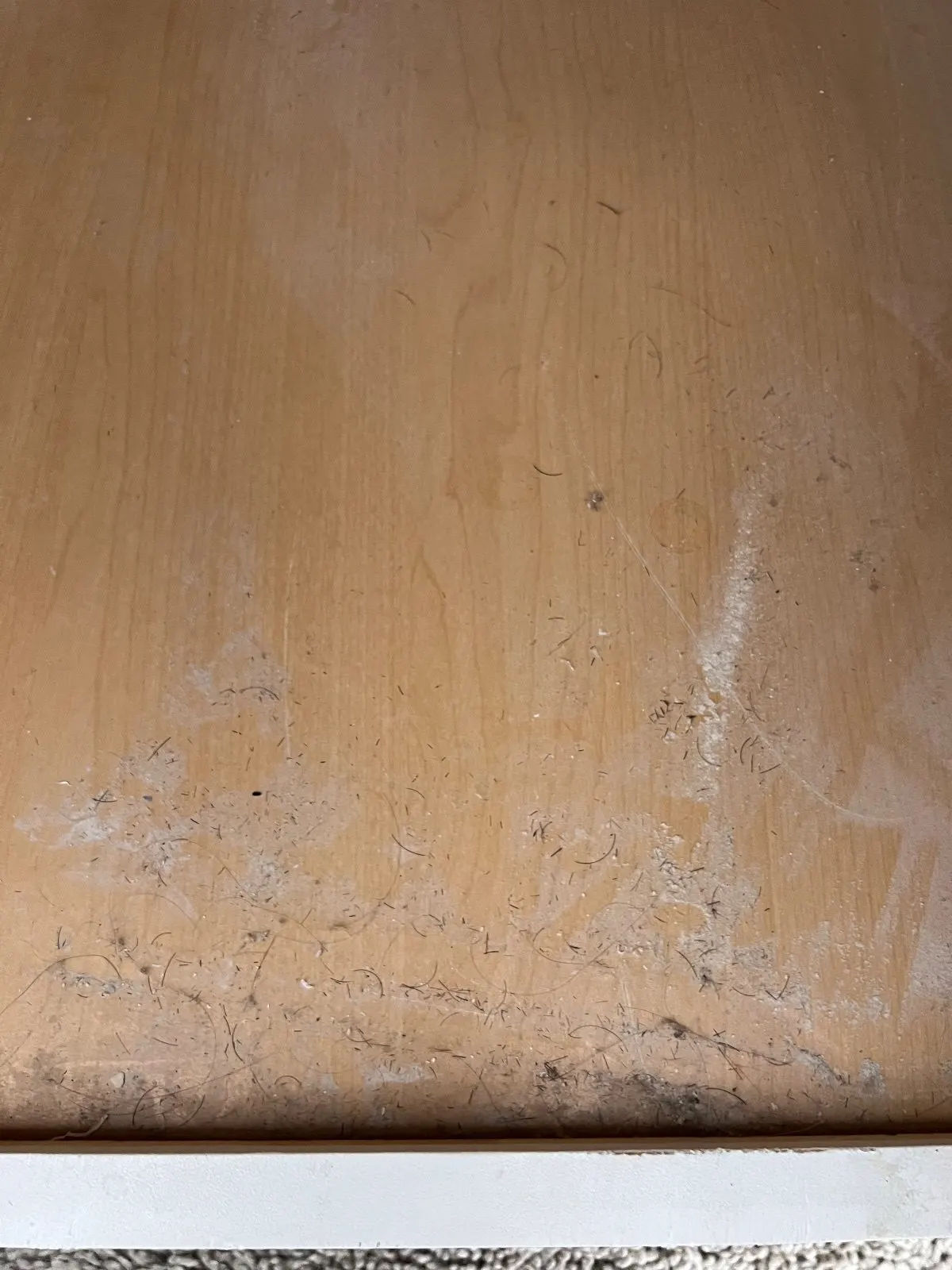 Before — House Cleaning in Carmichael, CA — August 2026