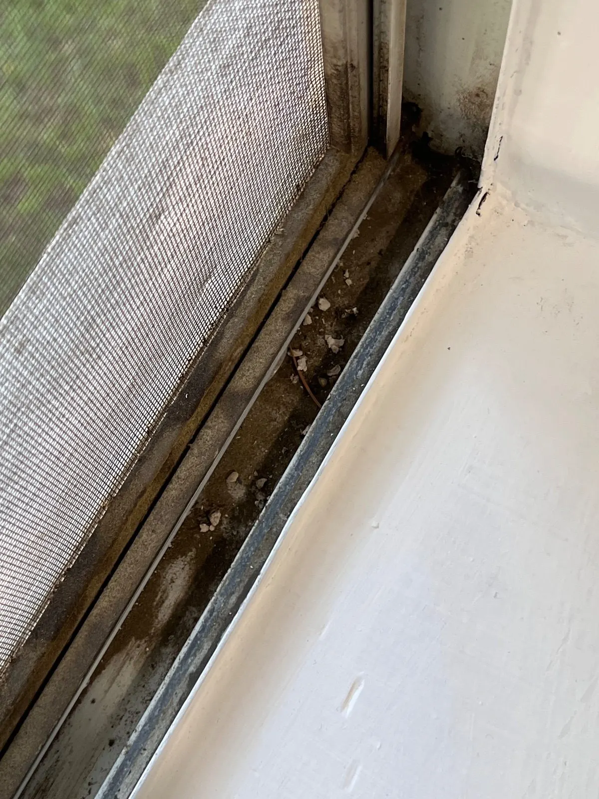 Before — House Cleaning in Carmichael, CA — August 2026