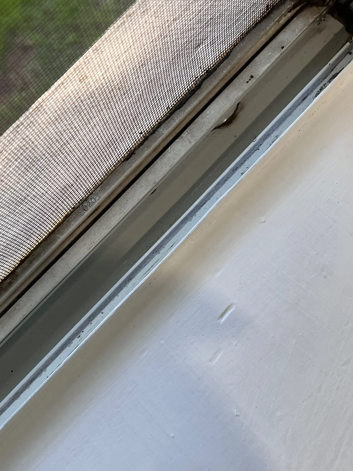 After — House Cleaning in Carmichael, CA — August 2026