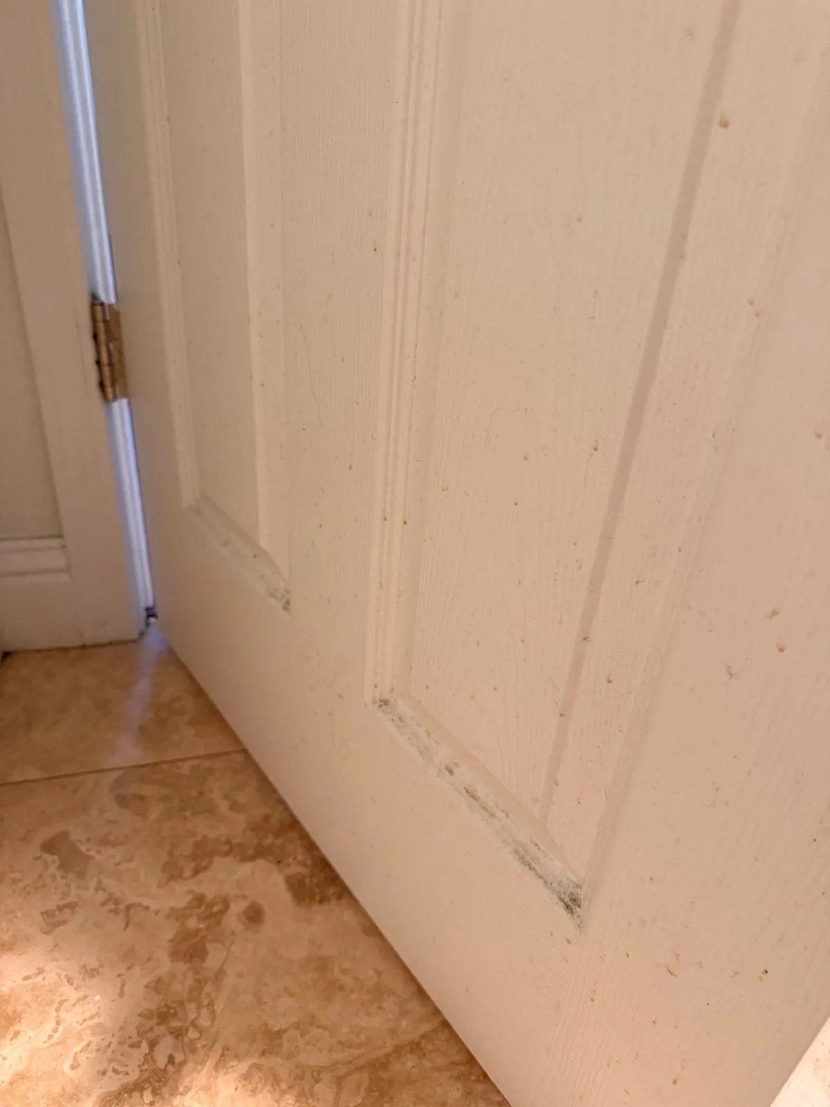 Before — House Cleaning in Sacramento, CA — August 2026