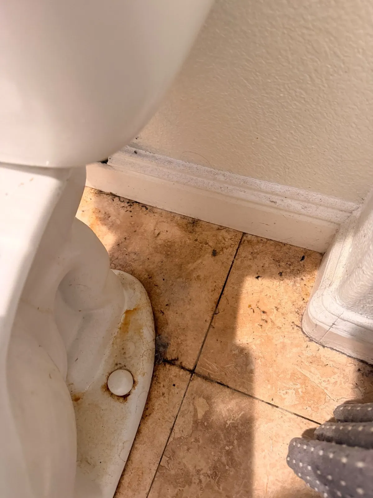 Before — House Cleaning in Sacramento, CA — August 2026