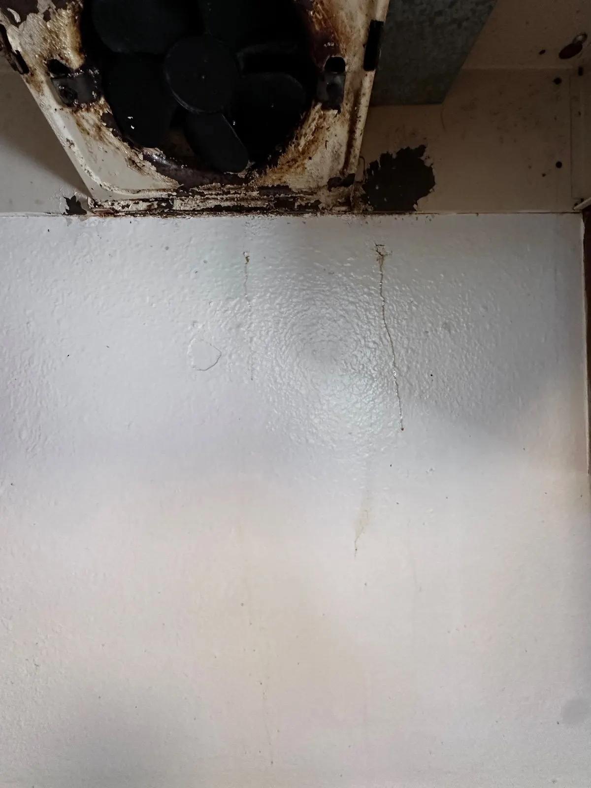 Before — House Cleaning in Davis, CA — August 2026