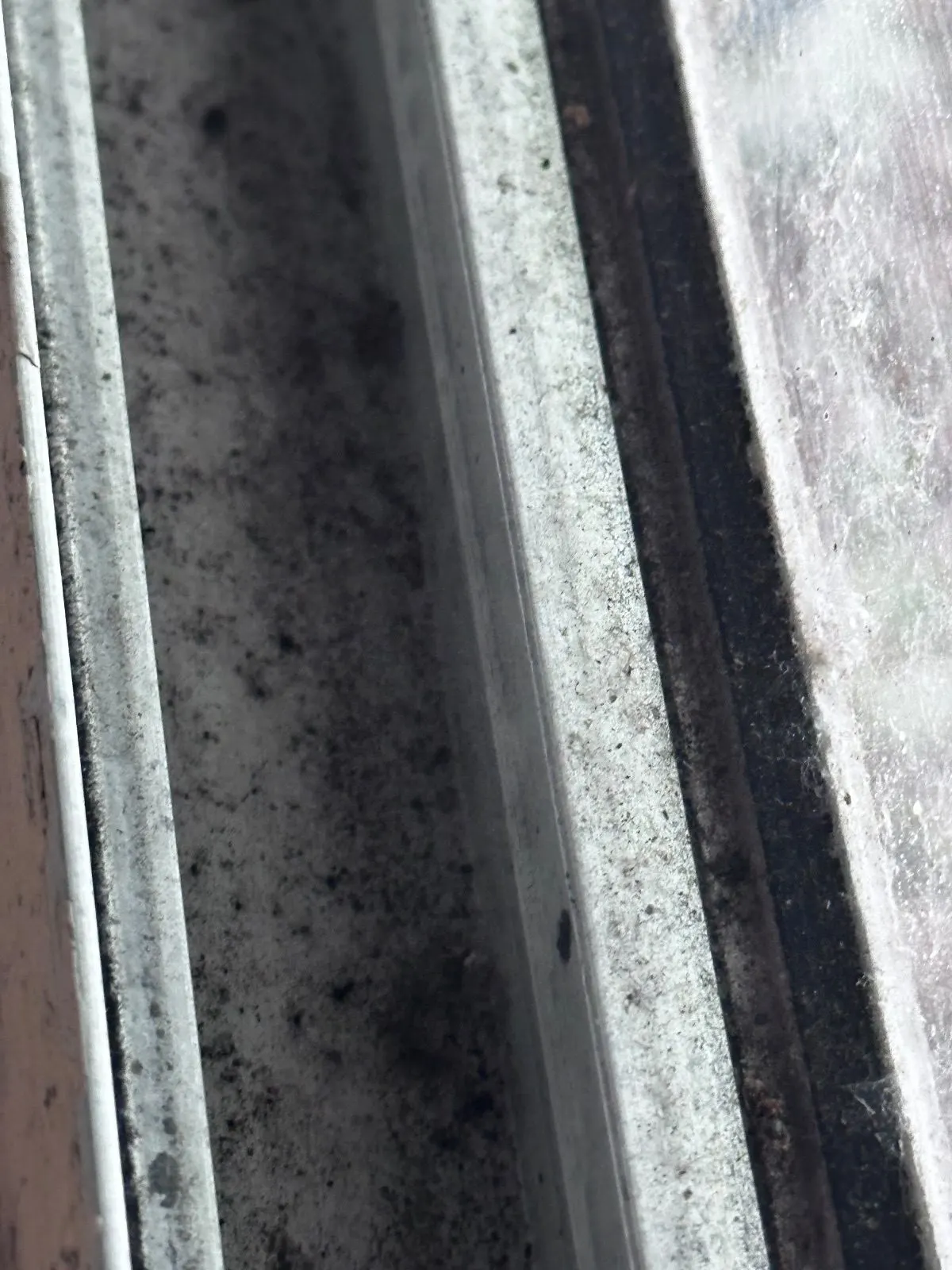 Before — House Cleaning in Davis, CA — August 2026