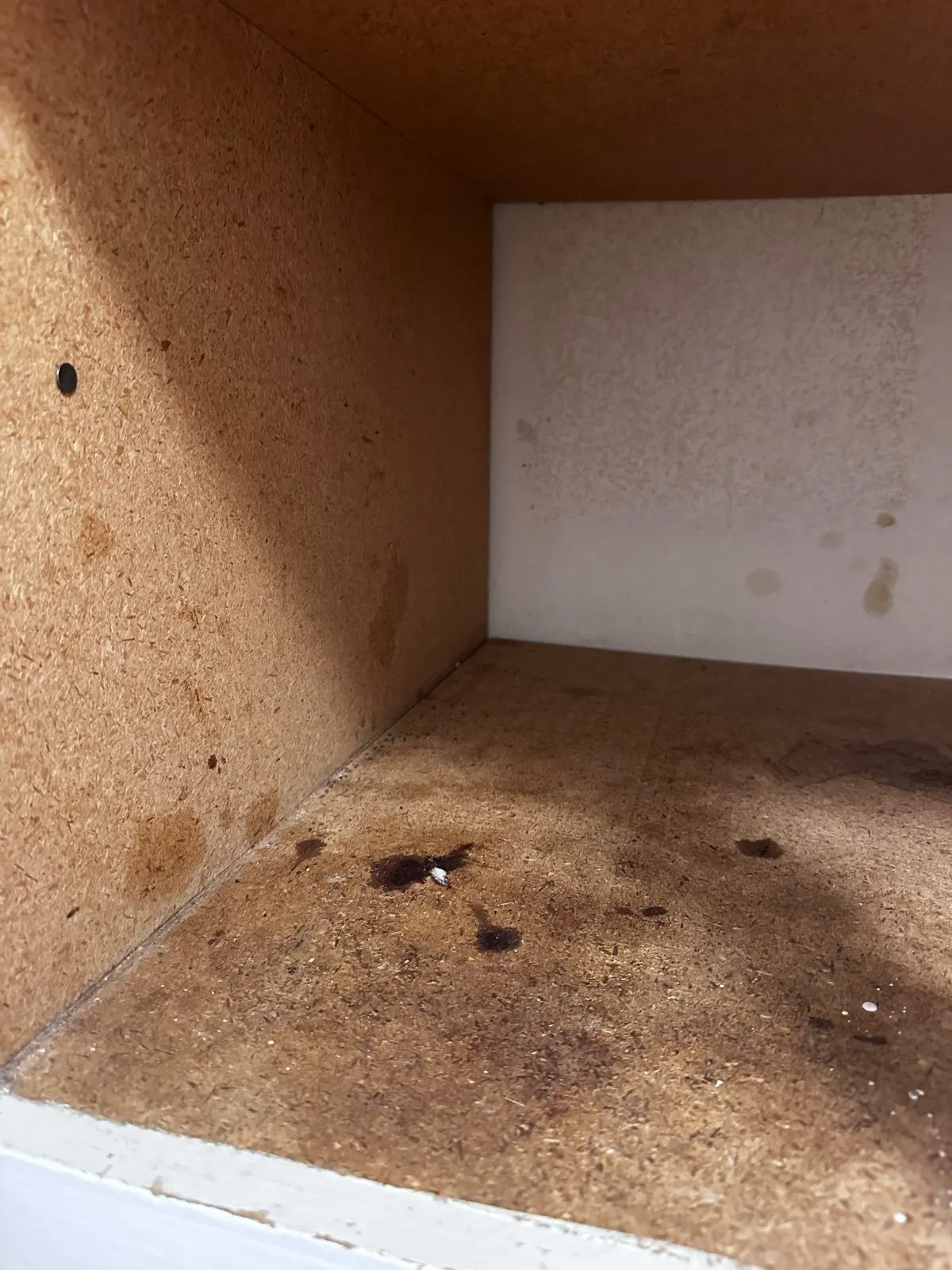 Before — House Cleaning in Davis, CA — August 2026