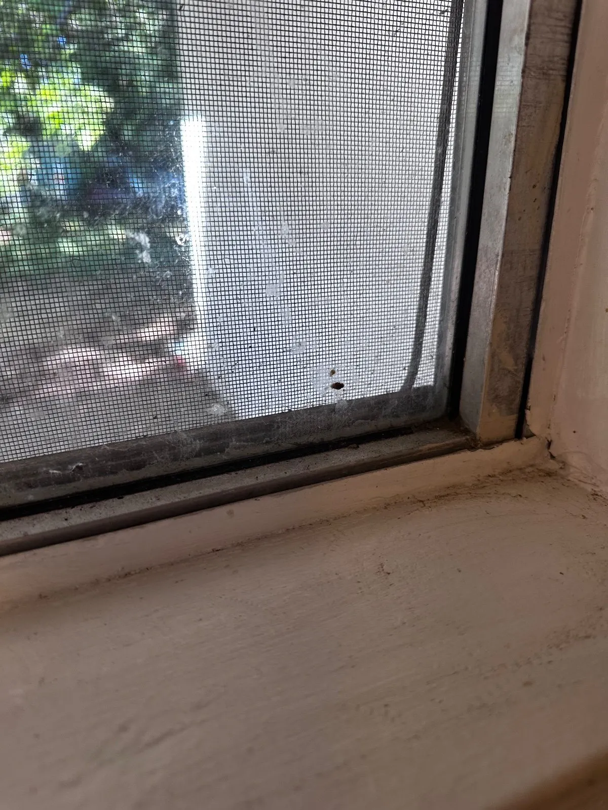 Before — House Cleaning in Davis, CA — August 2026