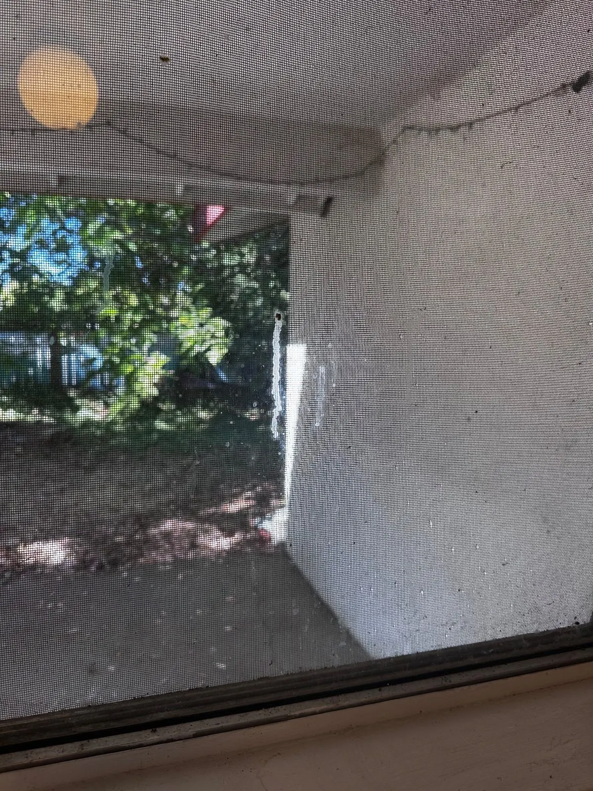 Before — House Cleaning in Davis, CA — August 2026
