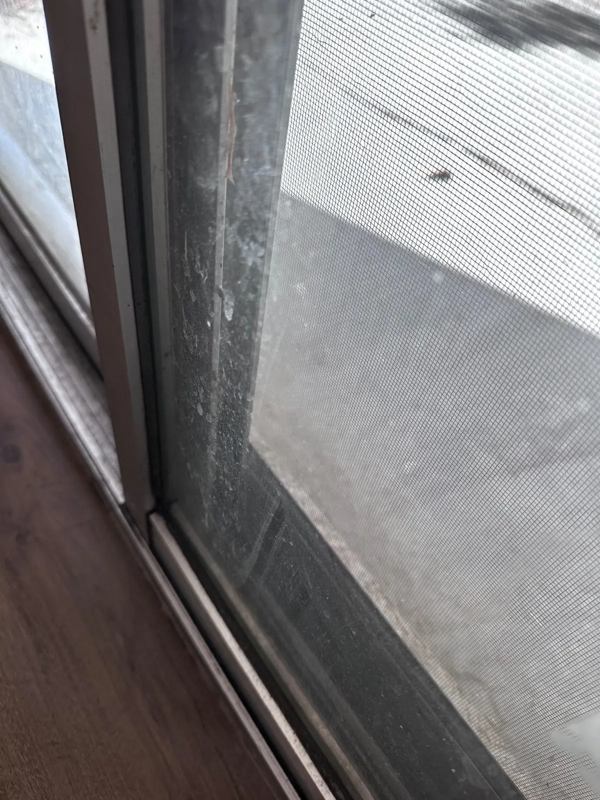 Before — House Cleaning in Davis, CA — August 2026