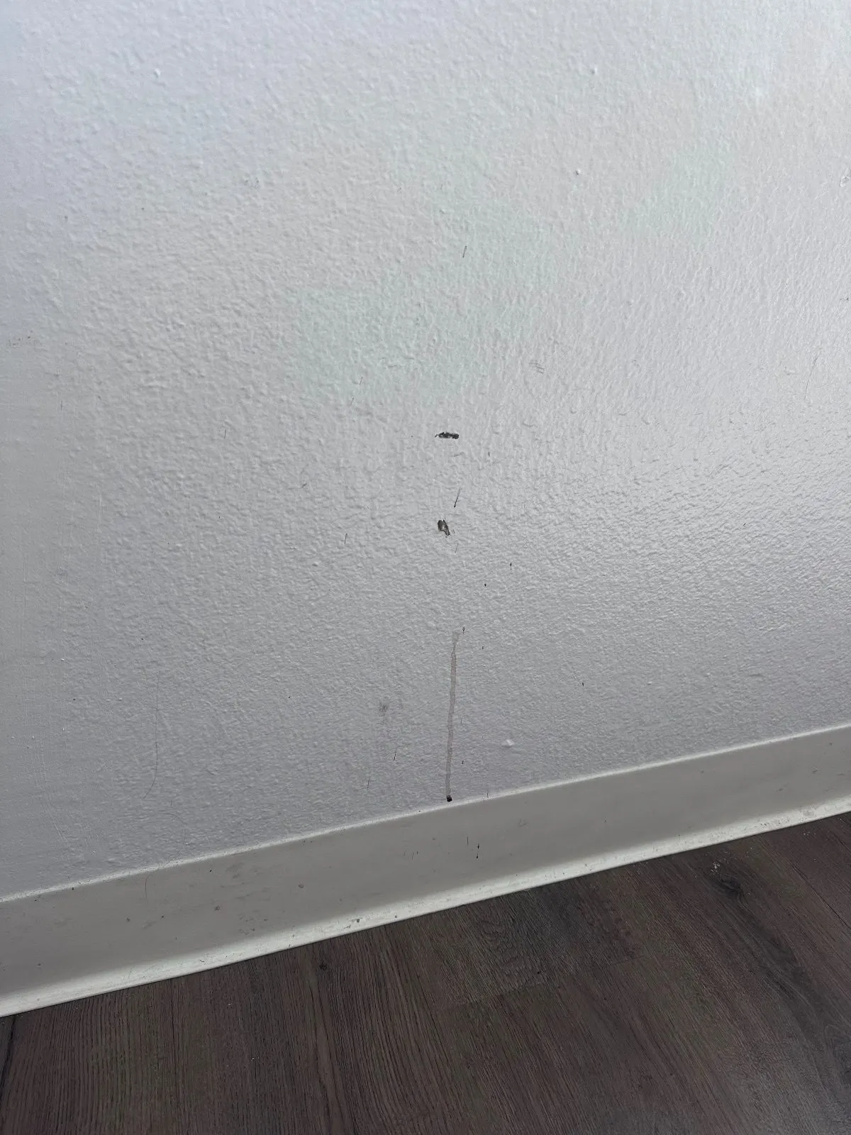 Before — House Cleaning in Davis, CA — August 2026