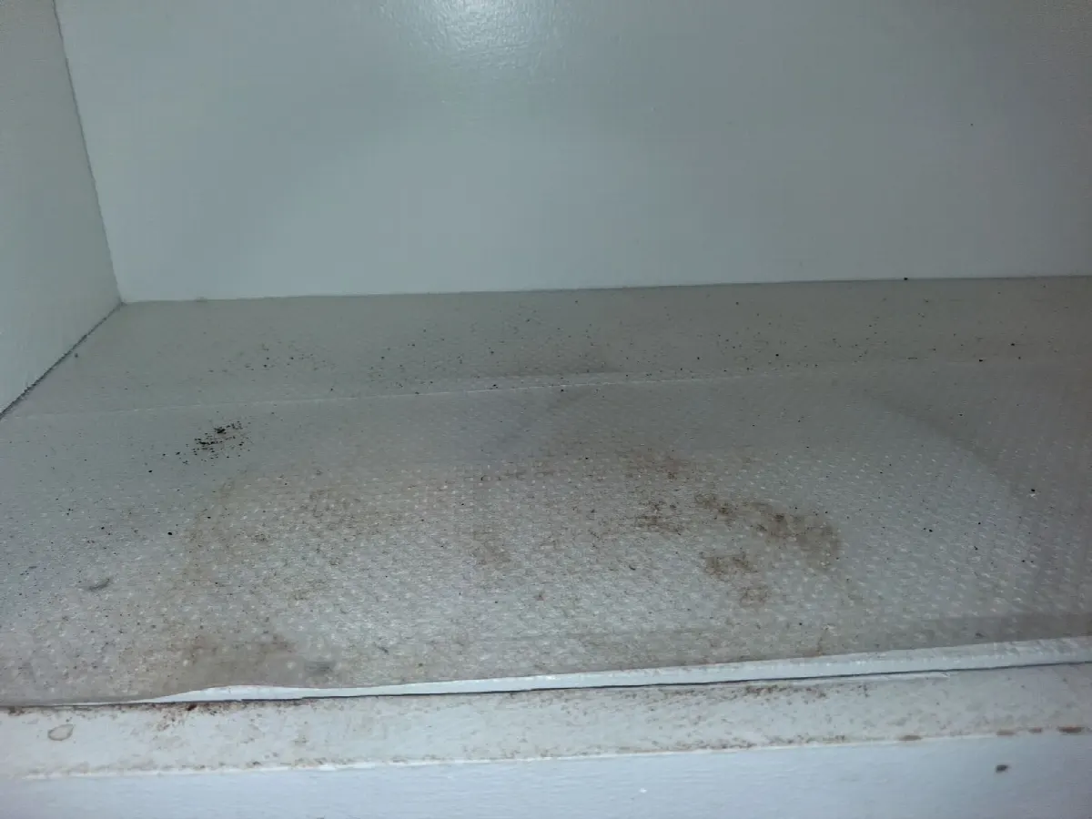 Before — House Cleaning in Fair Oaks, CA — August 2026