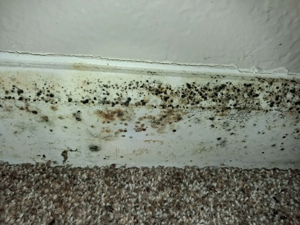 Before — House Cleaning in Fair Oaks, CA — August 2026
