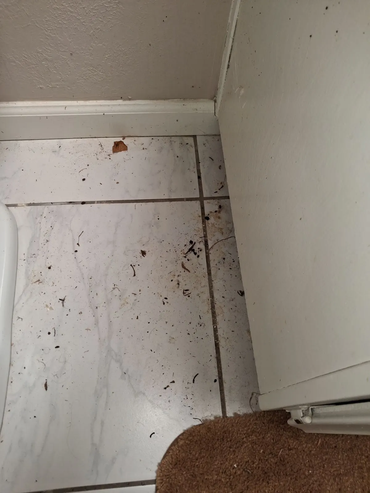 Before — House Cleaning in Fair Oaks, CA — August 2026