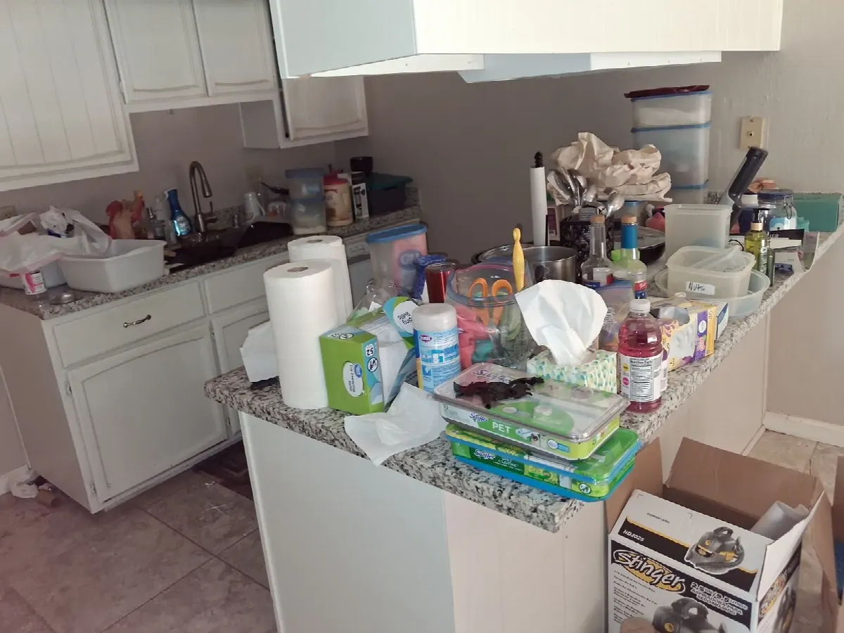 Before — House Cleaning in Fair Oaks, CA — August 2026