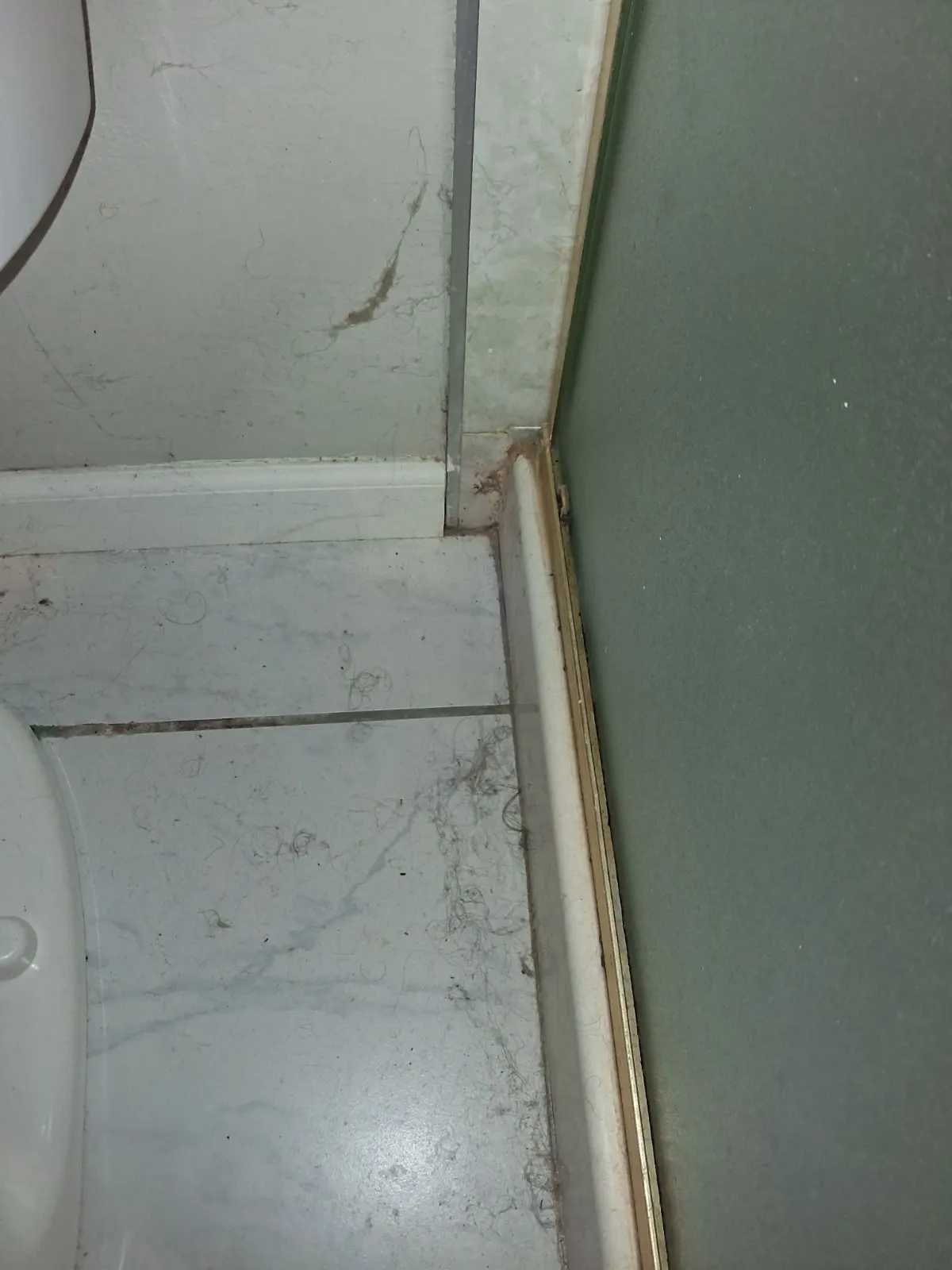 Before — House Cleaning in Fair Oaks, CA — August 2026