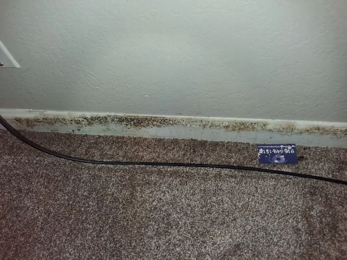 Before — House Cleaning in Fair Oaks, CA — August 2026