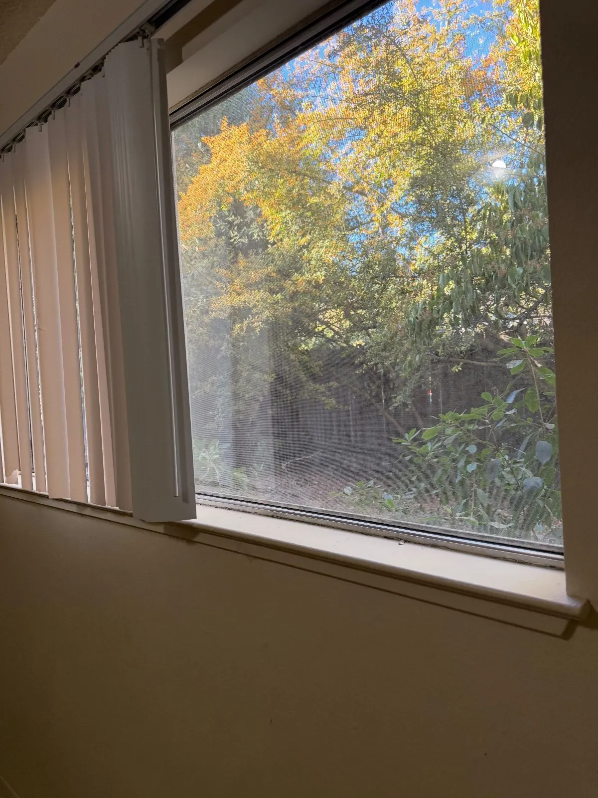 Before — House Cleaning in Davis, CA — August 2026
