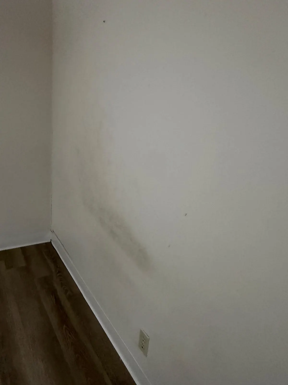 Before — House Cleaning in Davis, CA — August 2026