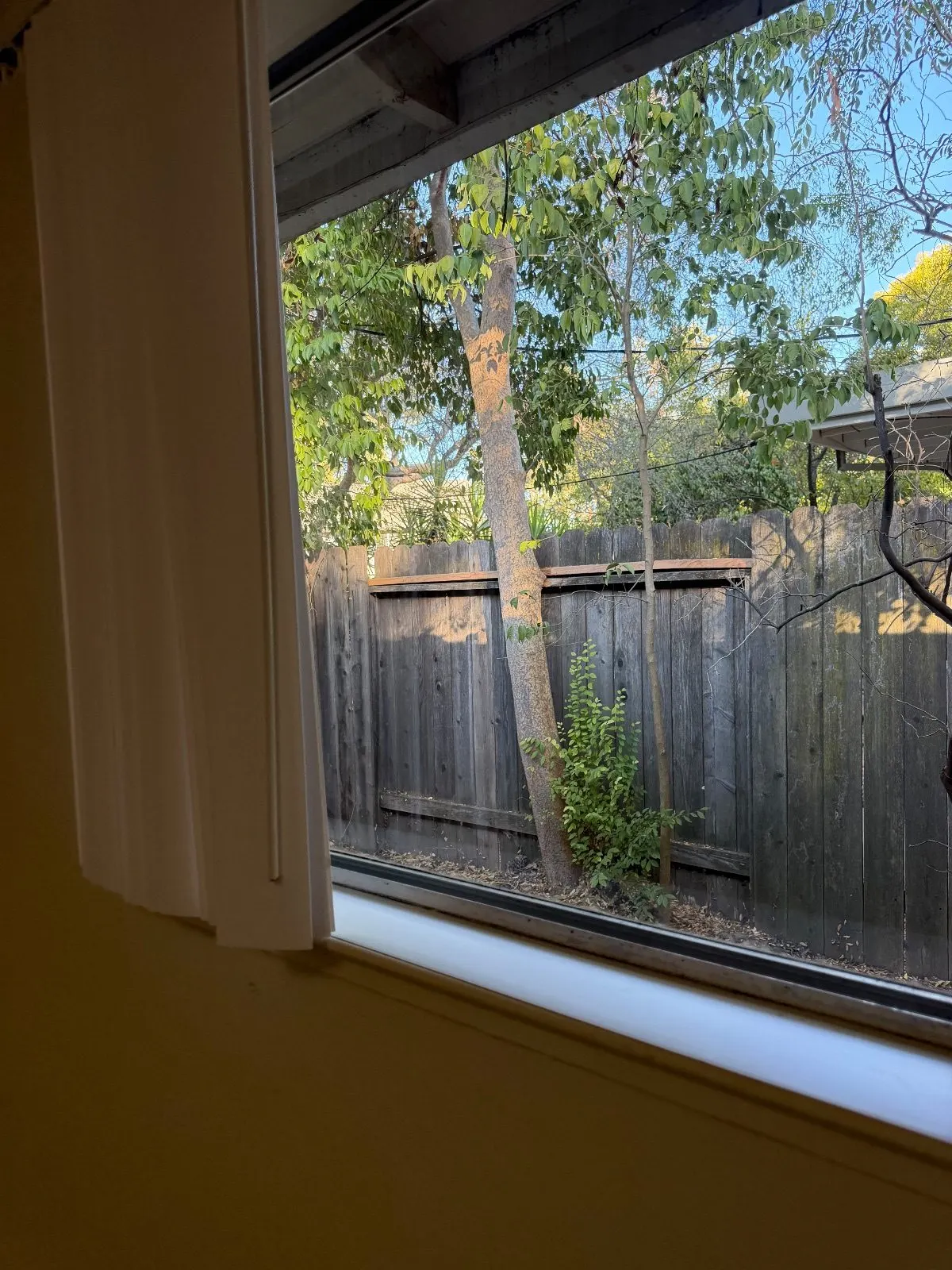 Before — House Cleaning in Davis, CA — August 2026