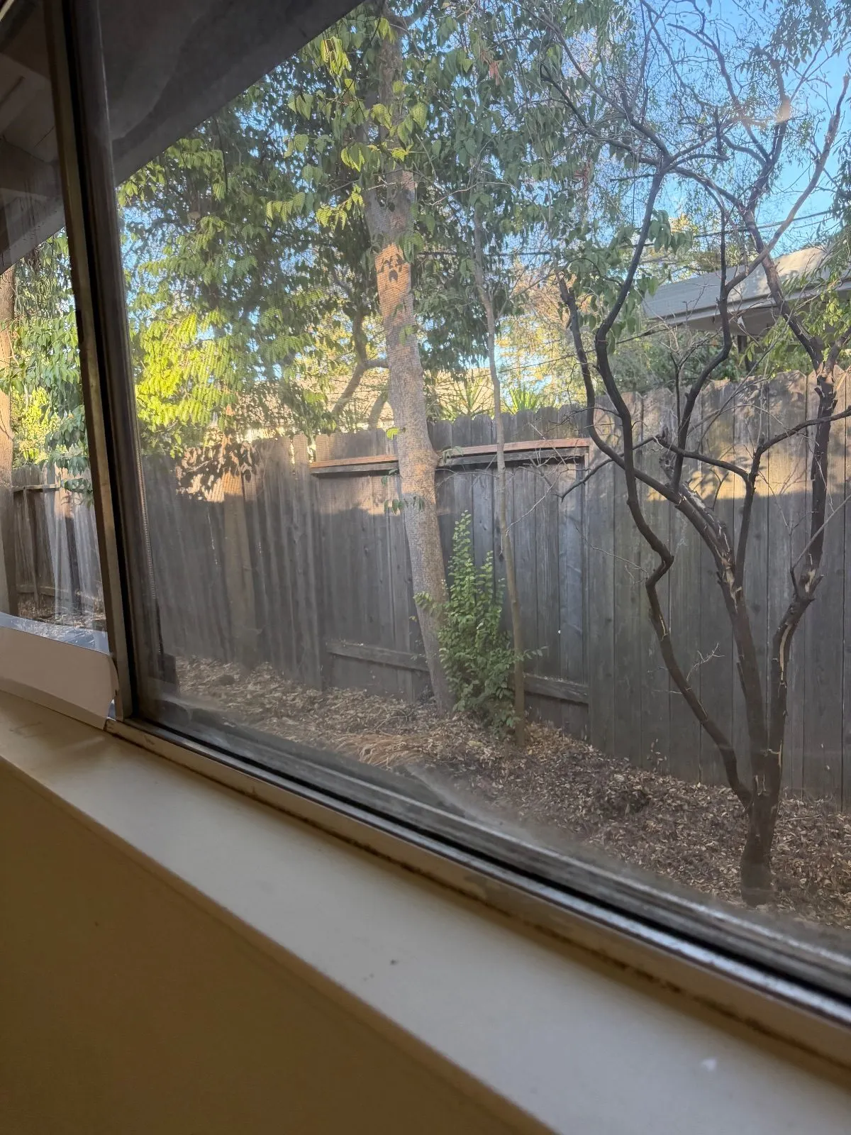 Before — House Cleaning in Davis, CA — August 2026