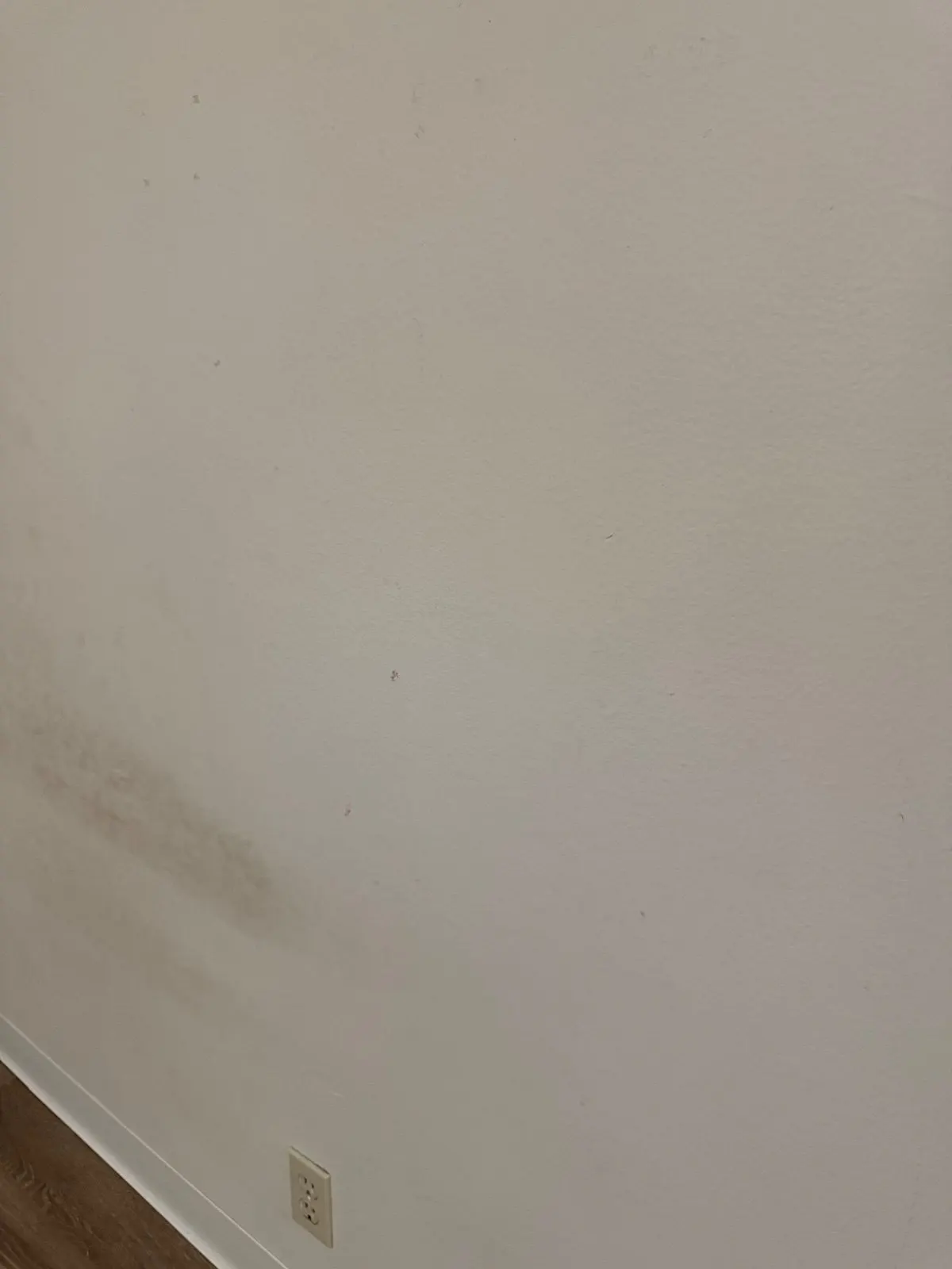 Before — House Cleaning in Davis, CA — August 2026