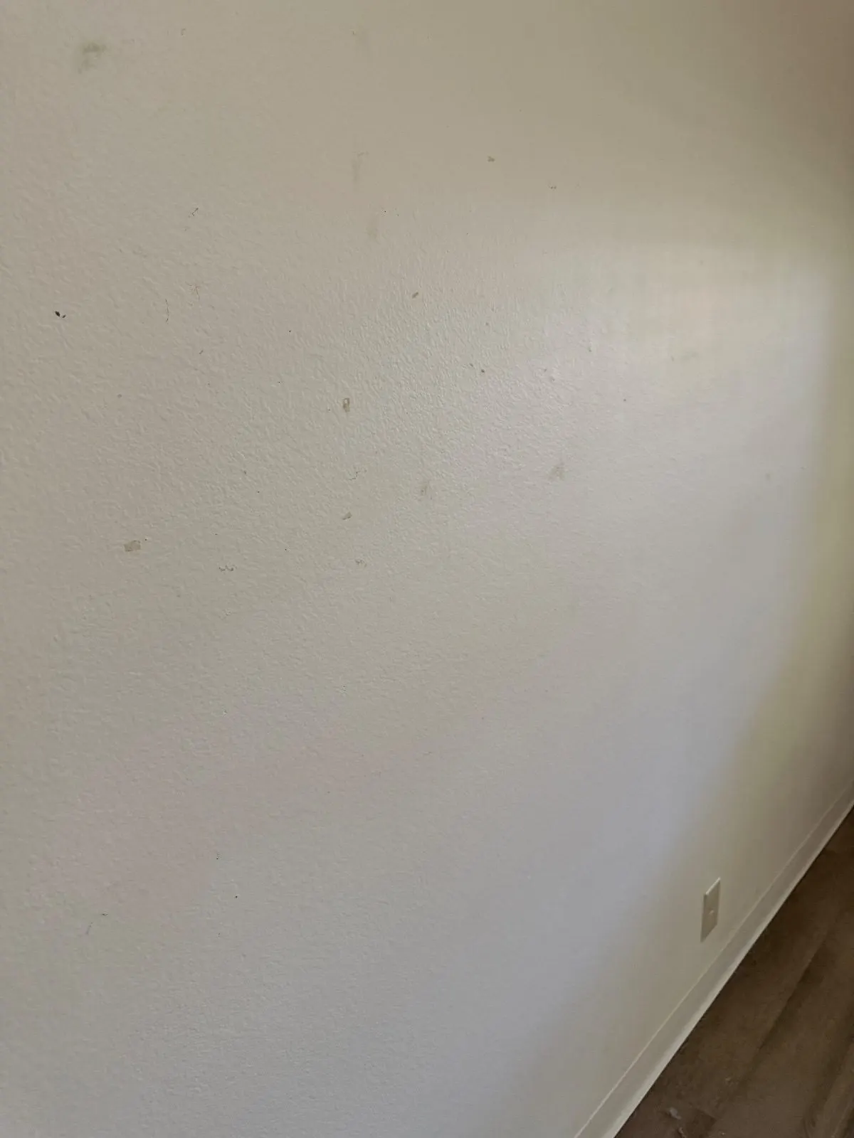 Before — House Cleaning in Davis, CA — August 2026