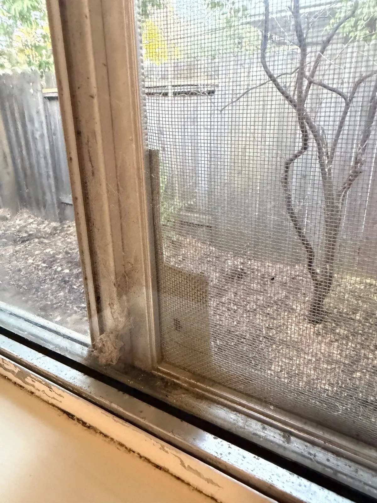 Before — House Cleaning in Davis, CA — August 2026