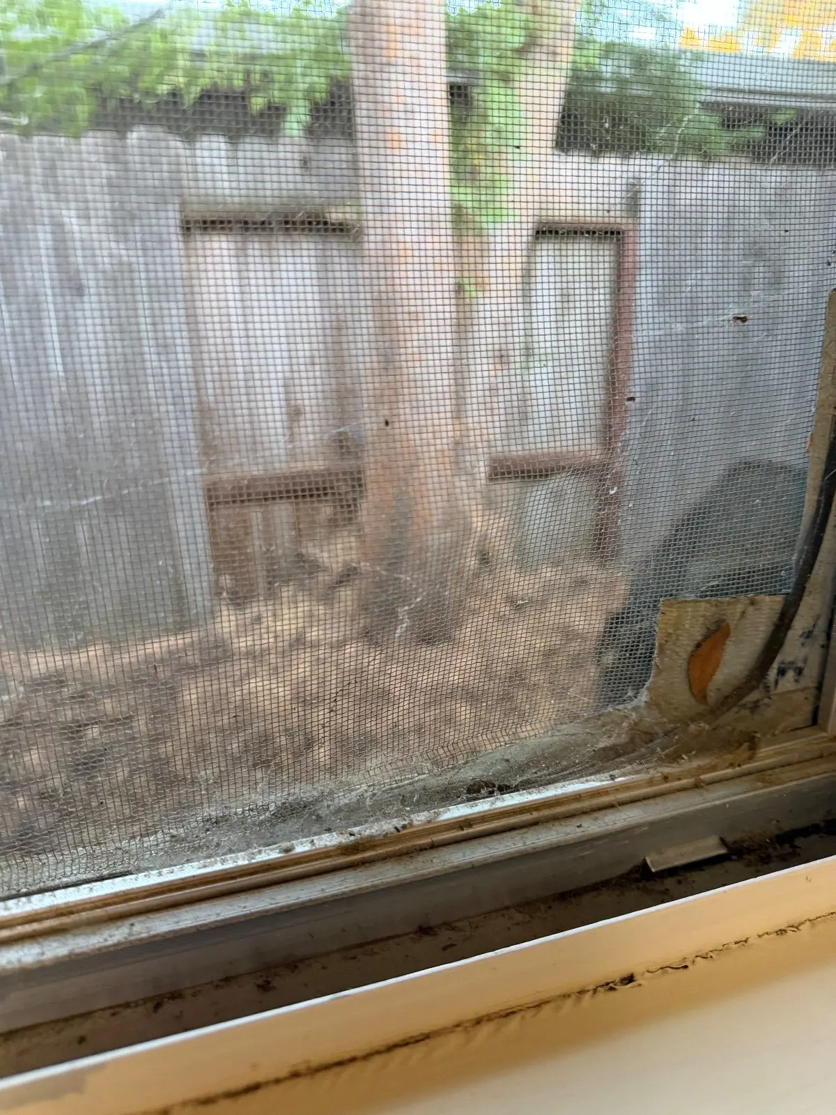 Before — House Cleaning in Davis, CA — August 2026