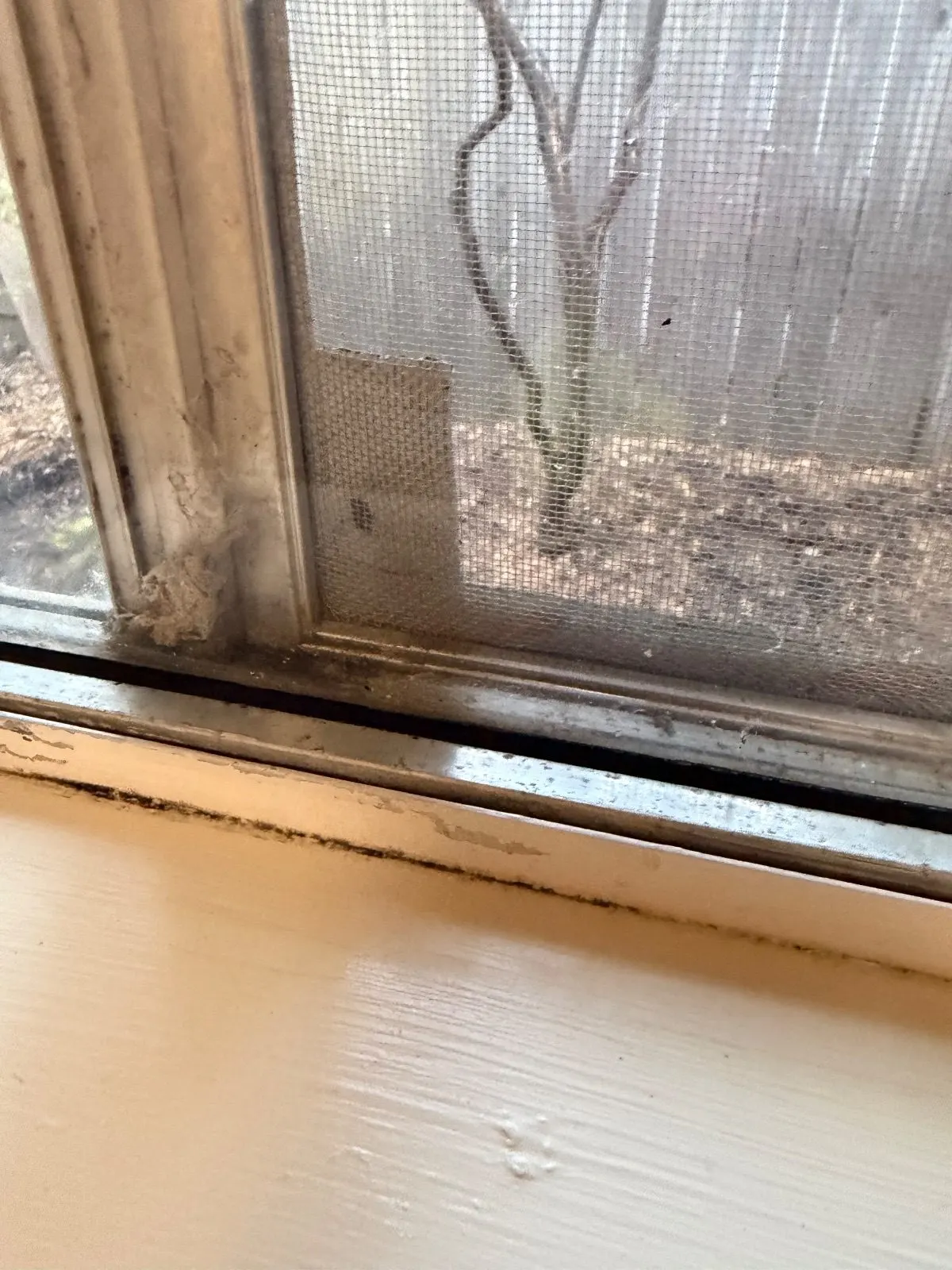 Before — House Cleaning in Davis, CA — August 2026