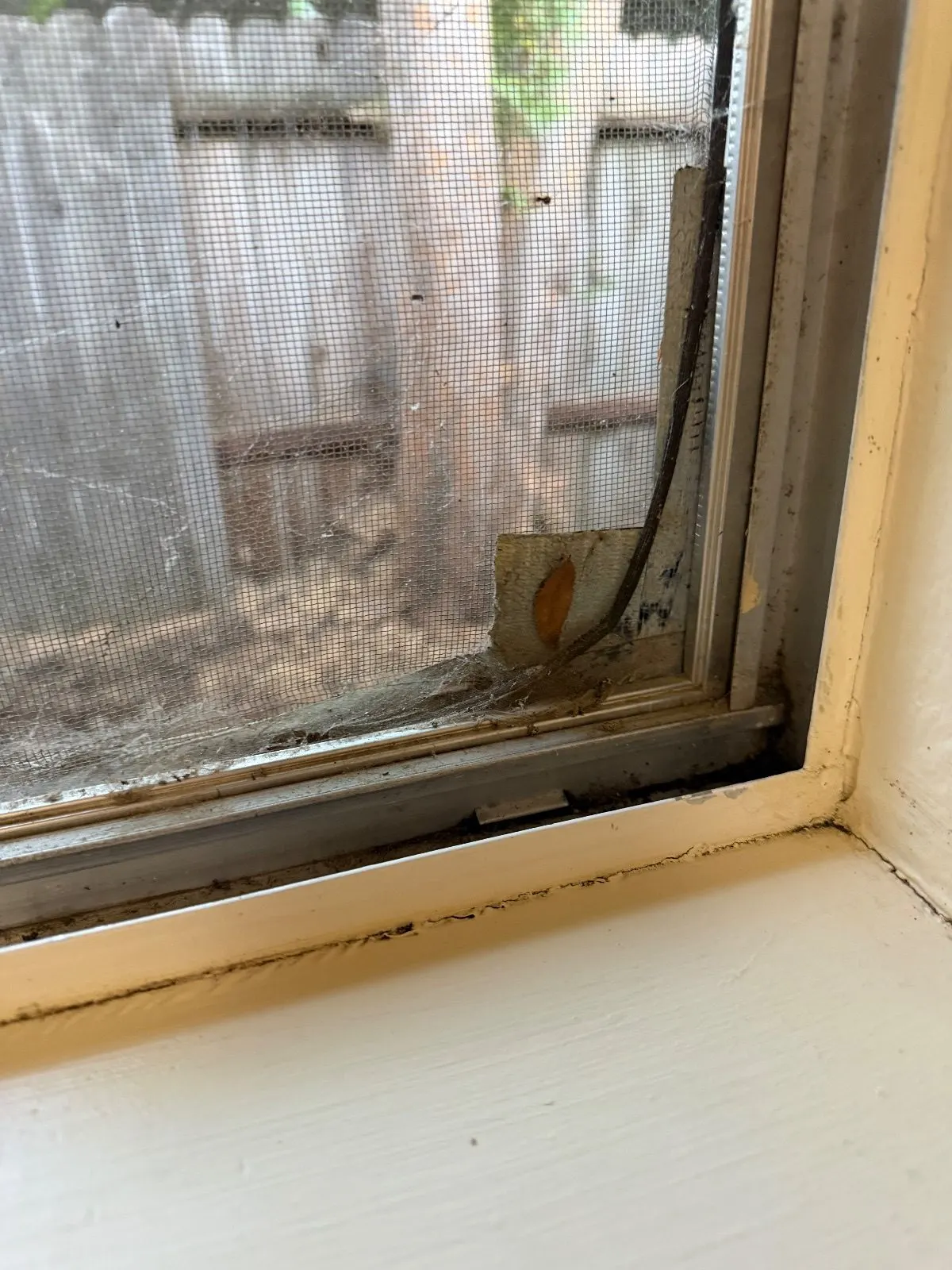 Before — House Cleaning in Davis, CA — August 2026