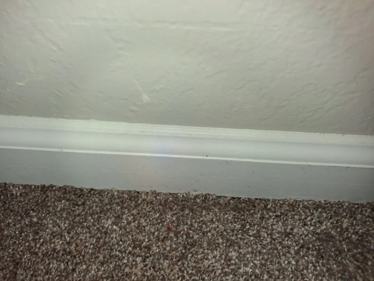 After — House Cleaning in Fair Oaks, CA — August 2026