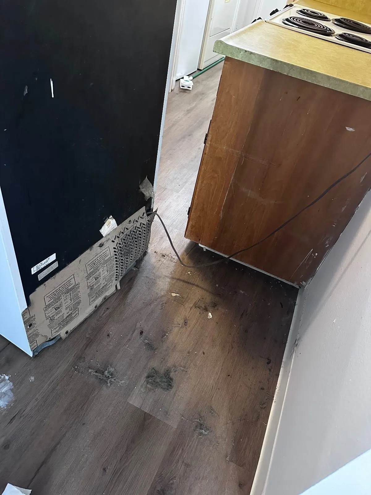 Before — House Cleaning in Davis, CA — August 2026