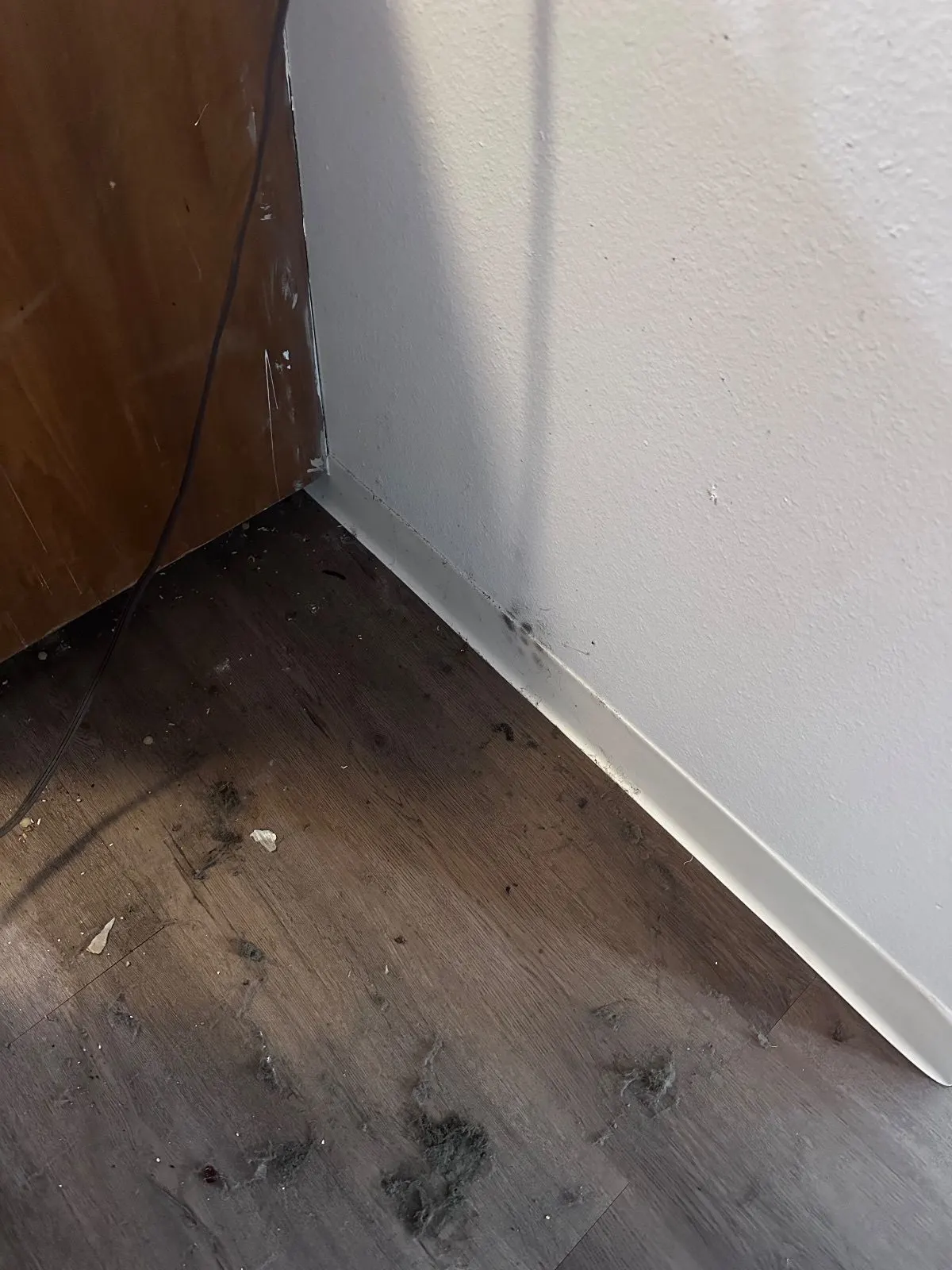 Before — House Cleaning in Davis, CA — August 2026