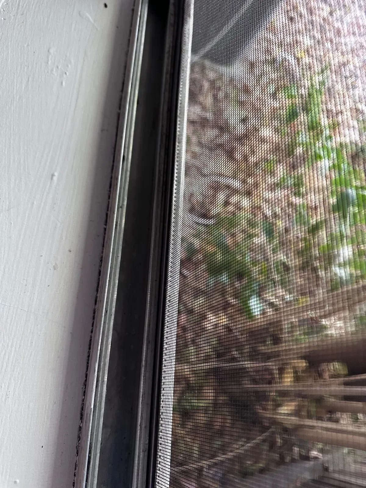 After — House Cleaning in Davis, CA — August 2026