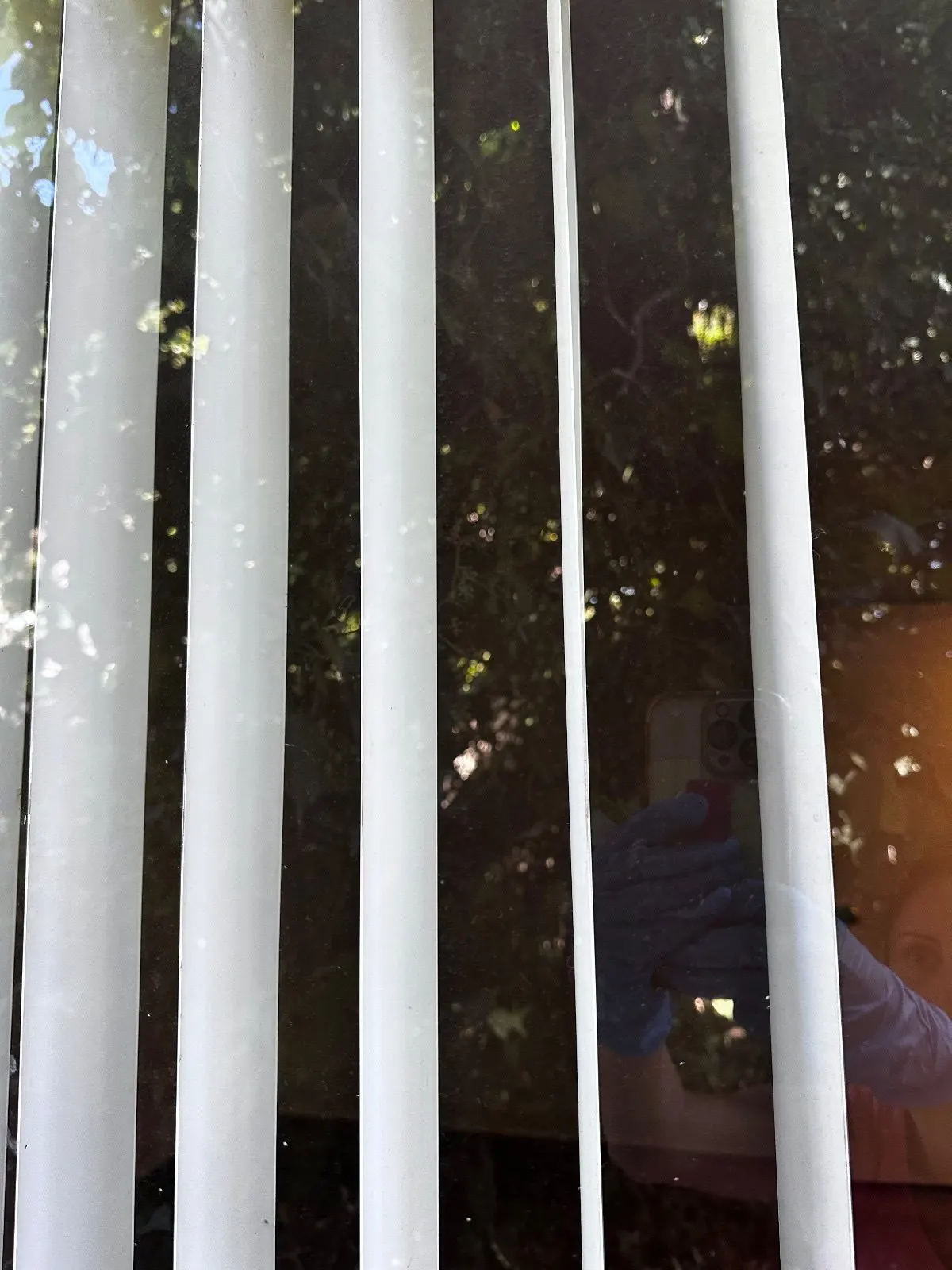 After — House Cleaning in Davis, CA — August 2026