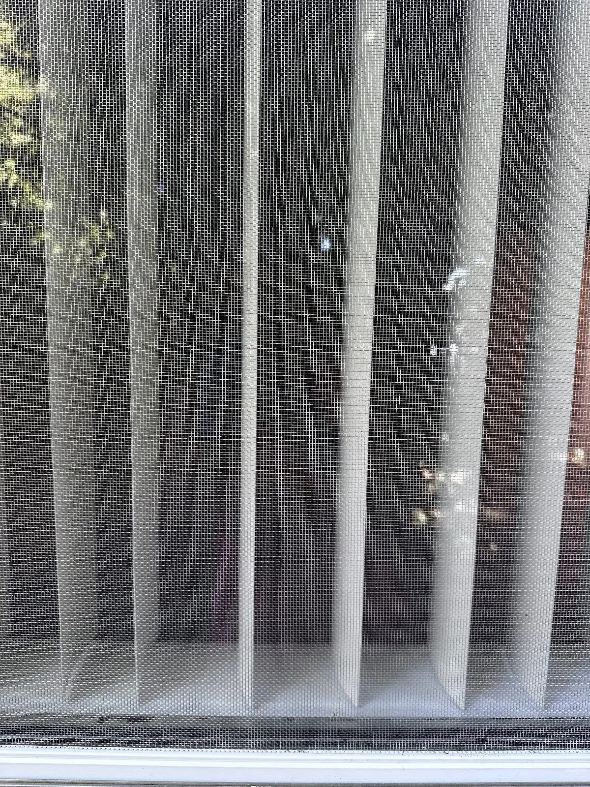 After — House Cleaning in Davis, CA — August 2026