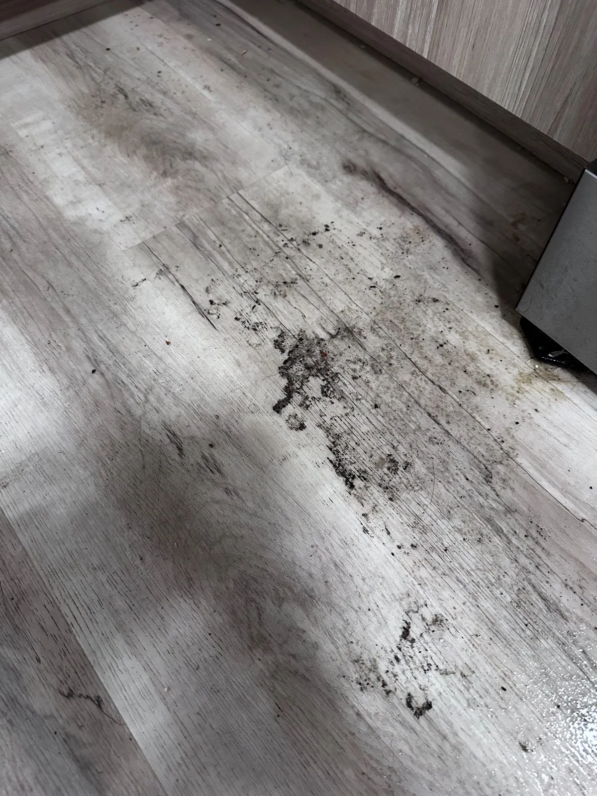 Before — House Cleaning in Davis, CA — August 2026