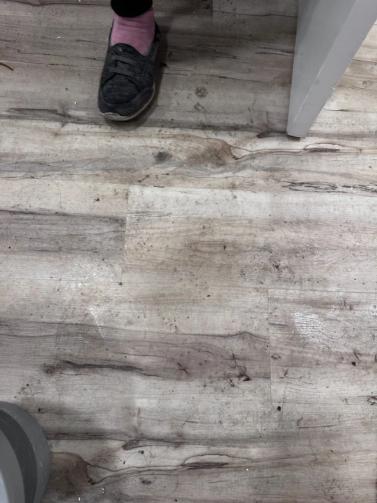 Before — House Cleaning in Davis, CA — August 2026