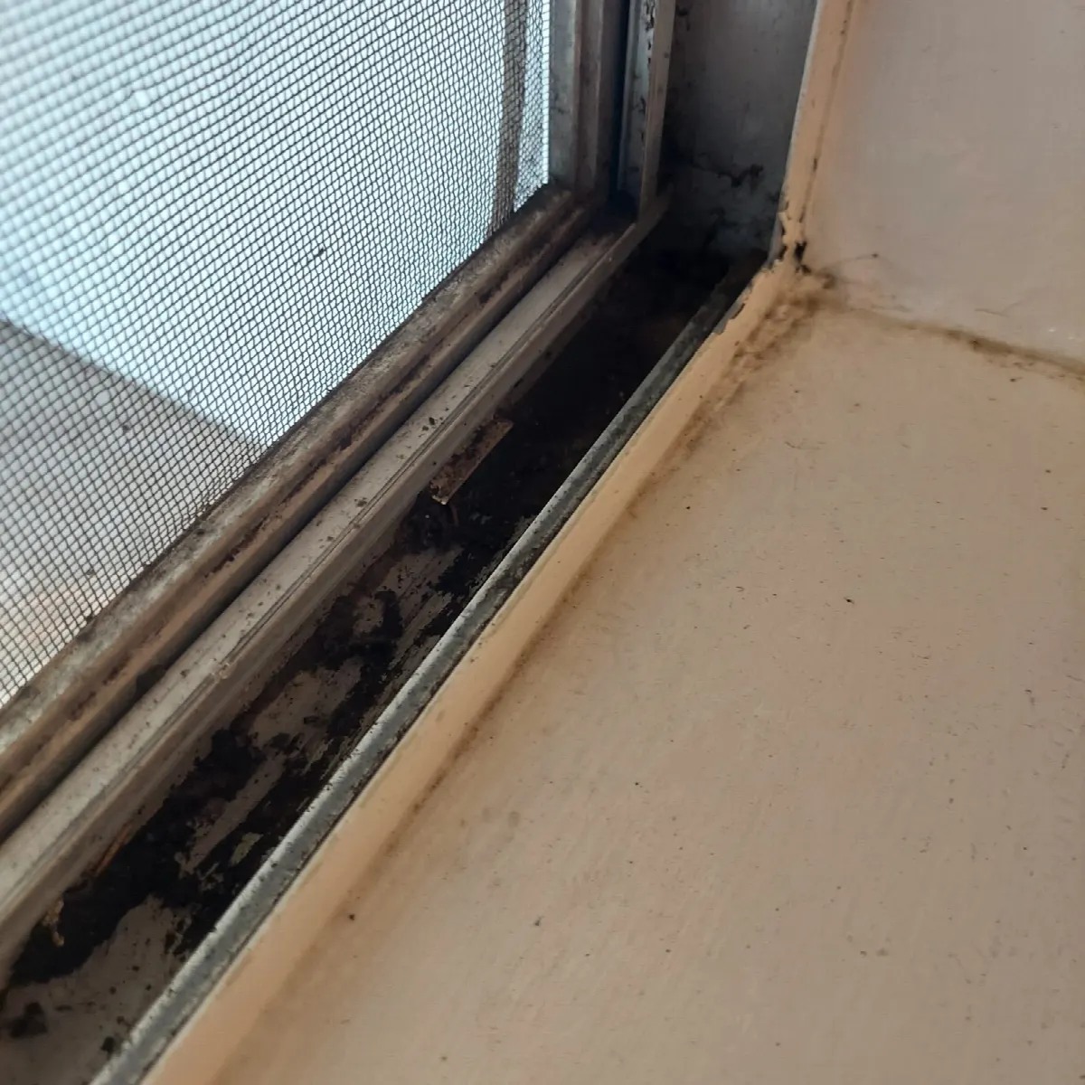 Before — House Cleaning in Davis, CA — August 2026