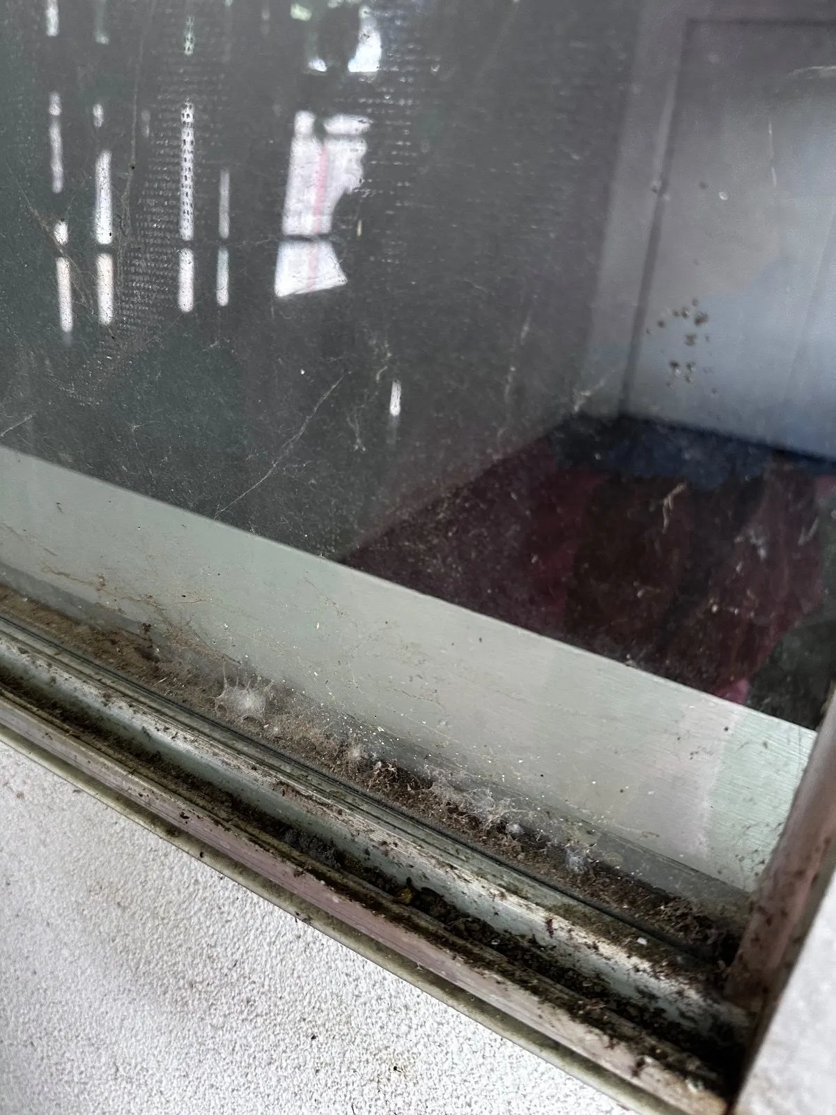 Before — House Cleaning in Davis, CA — August 2026