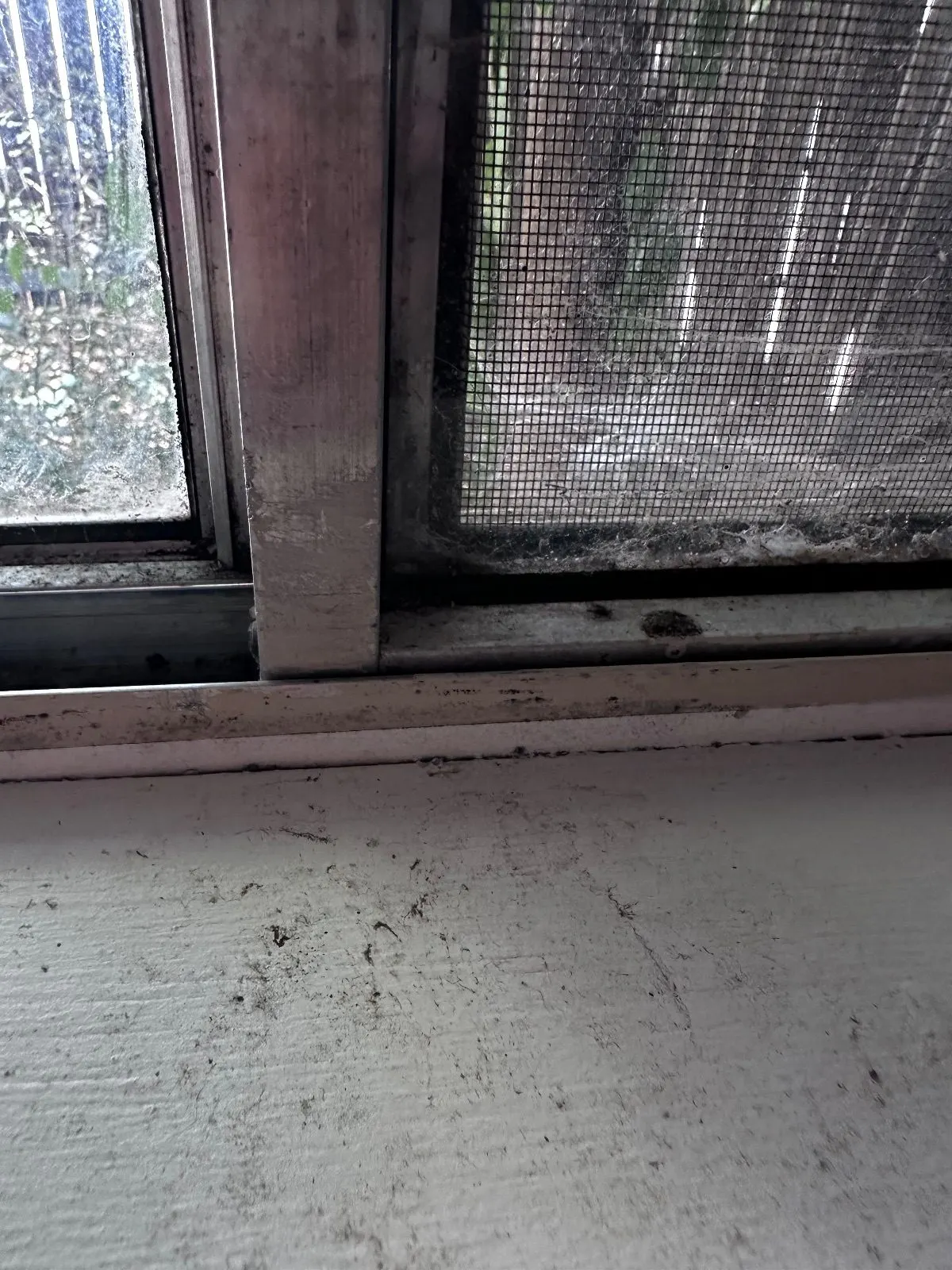 Before — House Cleaning in Davis, CA — August 2026