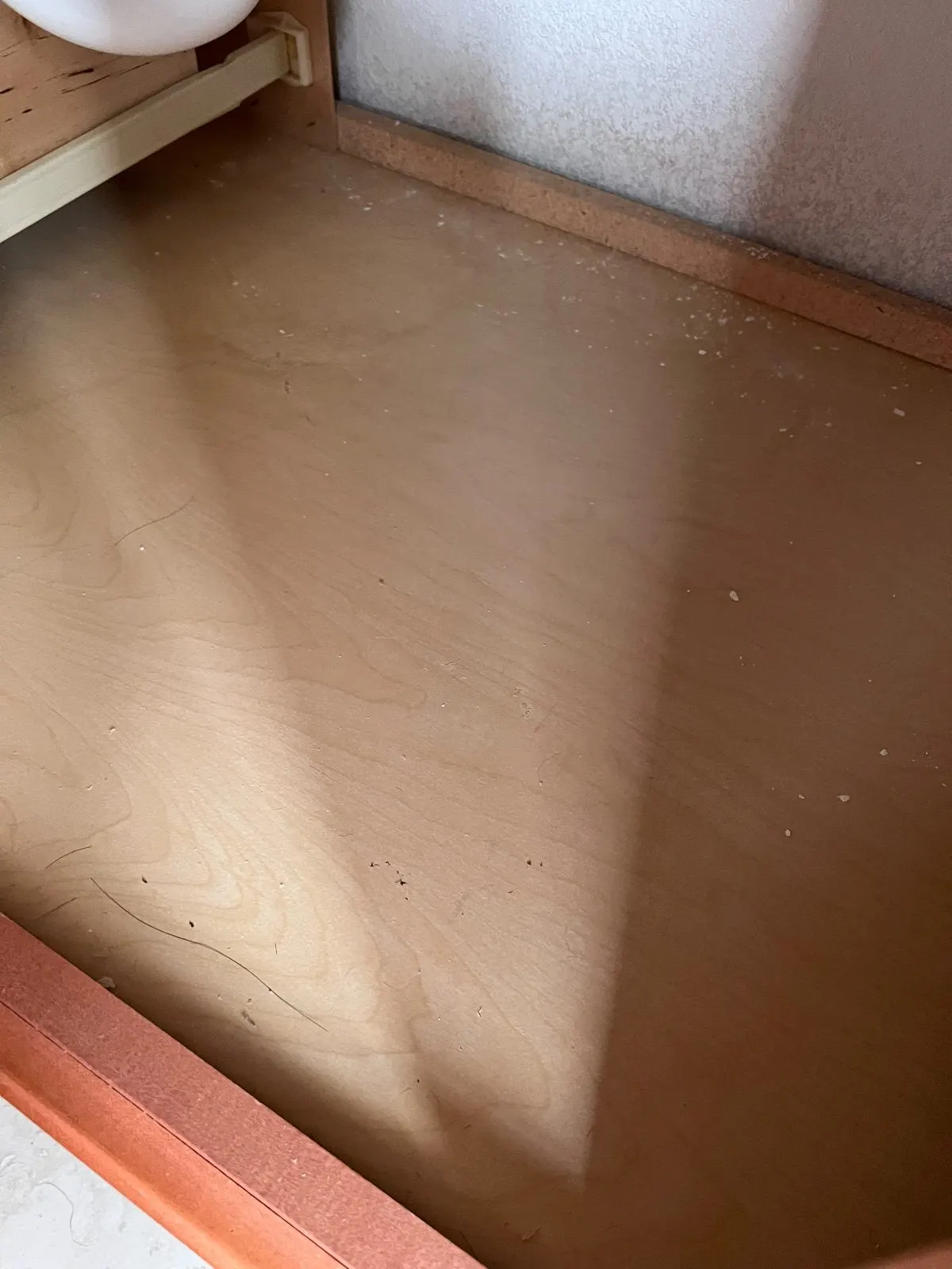 Before — House Cleaning in Davis, CA — August 2026