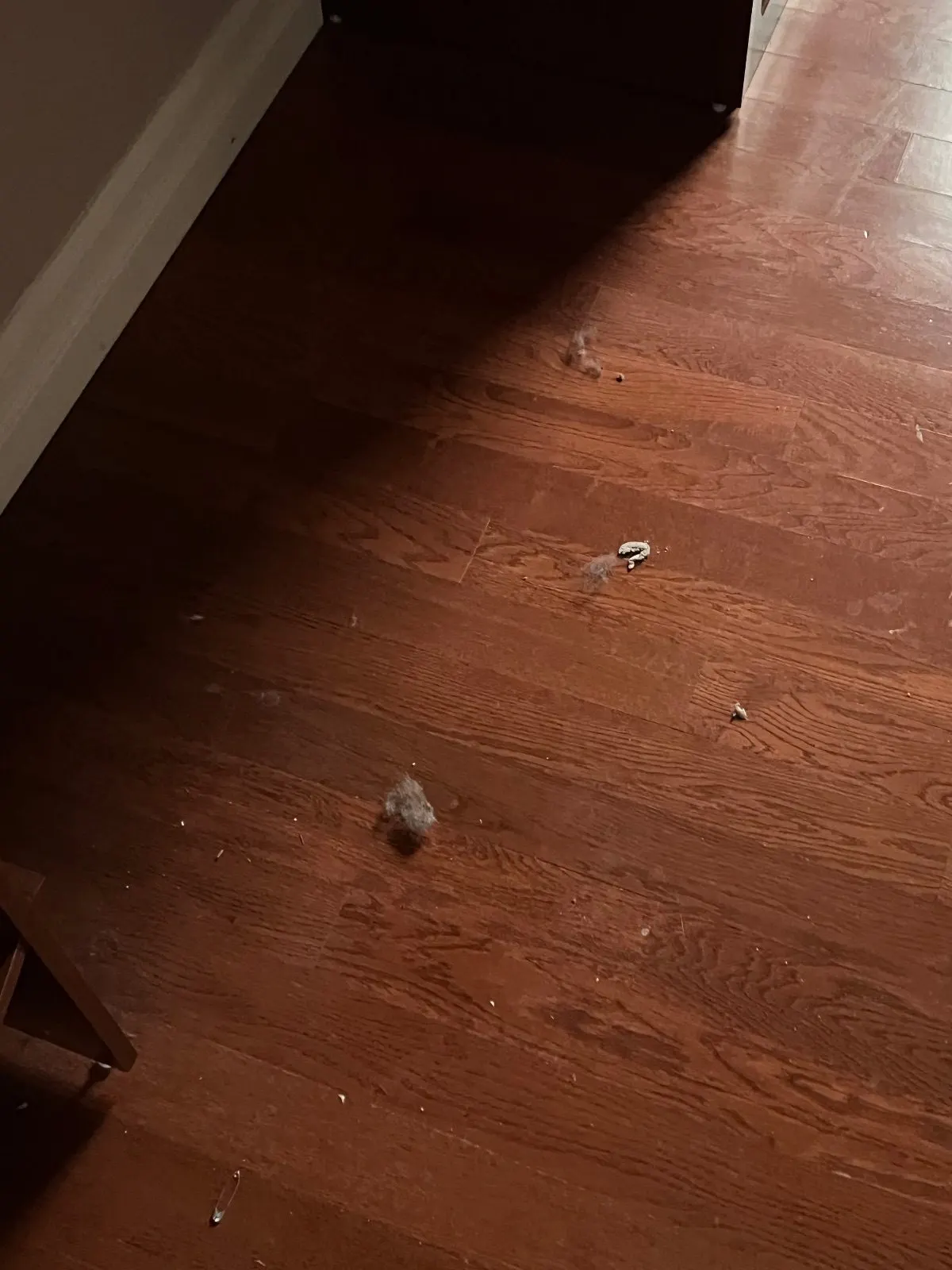 Before — House Cleaning in Davis, CA — August 2026