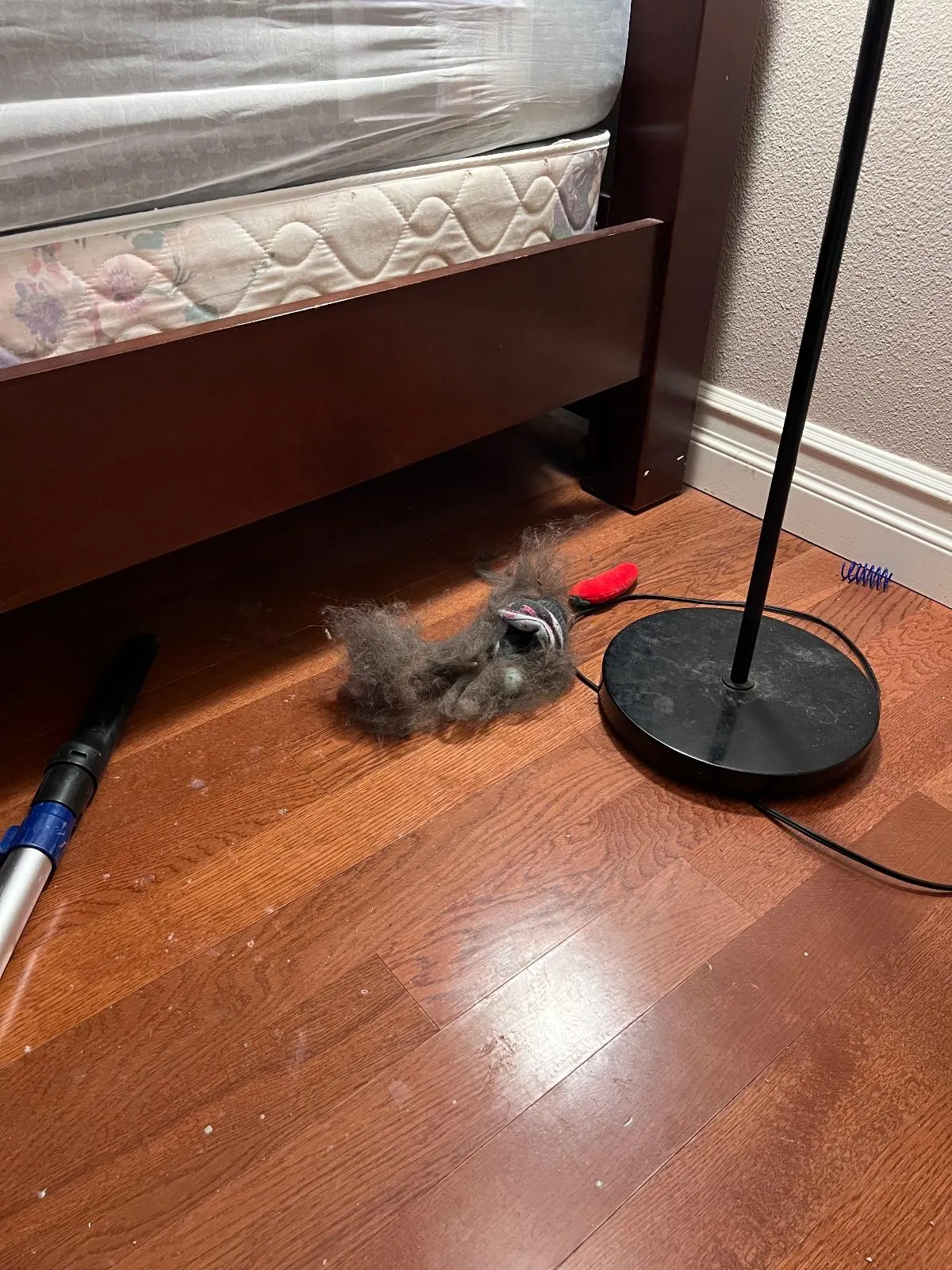 Before — House Cleaning in Davis, CA — August 2026