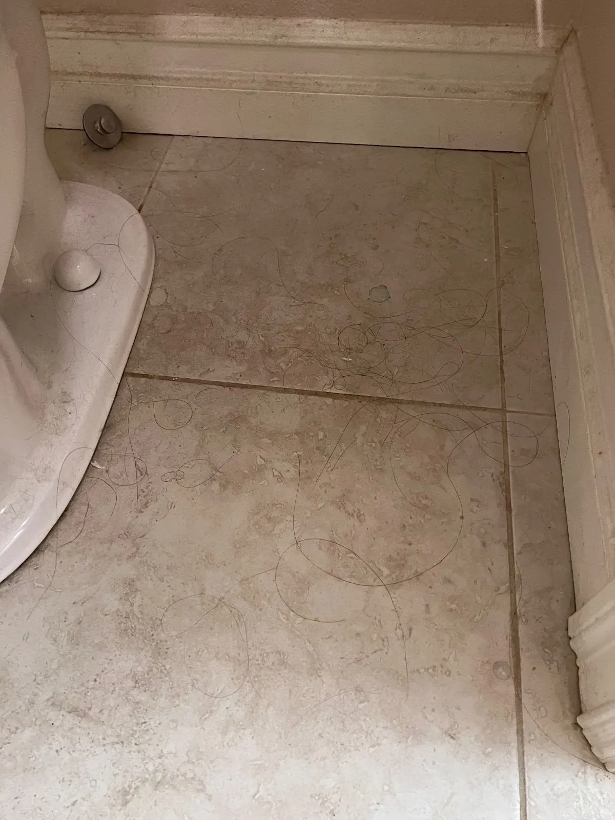Before — House Cleaning in Davis, CA — August 2026