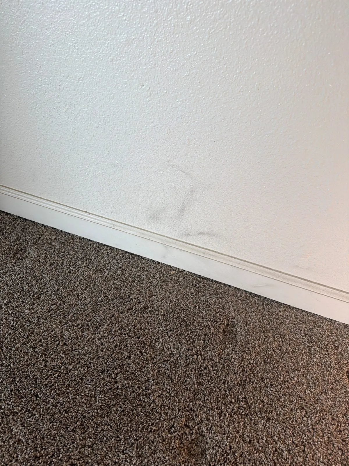 Before — House Cleaning in Davis, CA — August 2026