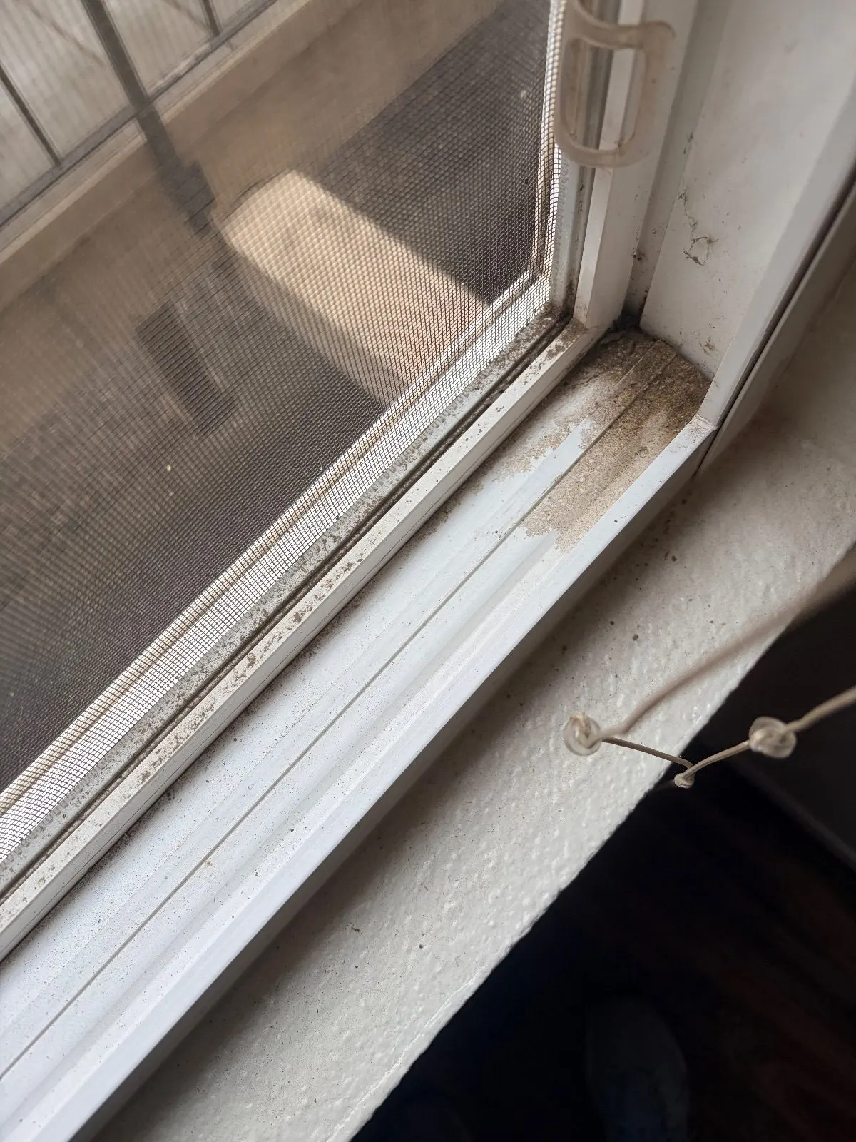 Before — House Cleaning in Davis, CA — August 2026