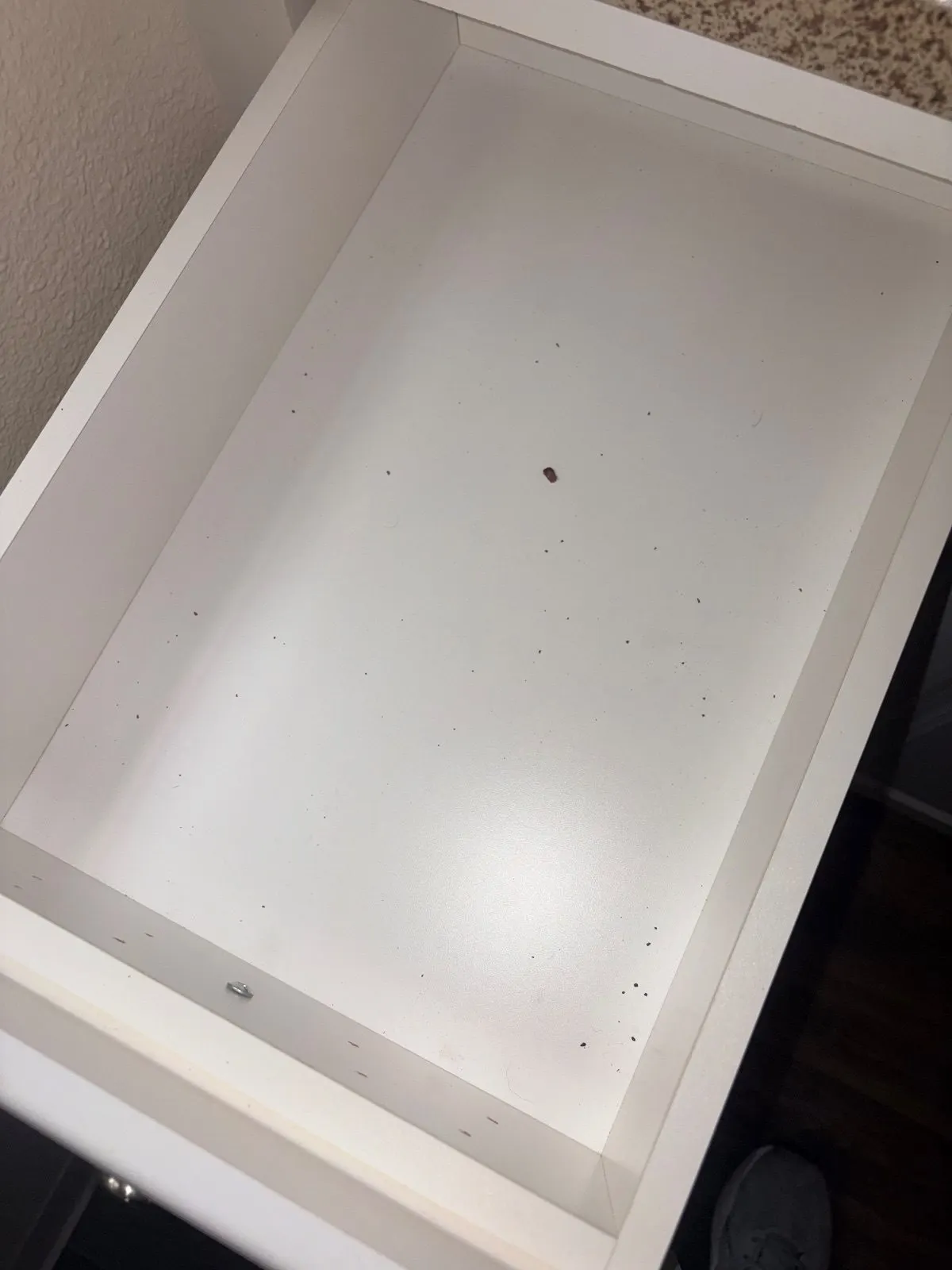 Before — House Cleaning in Davis, CA — August 2026